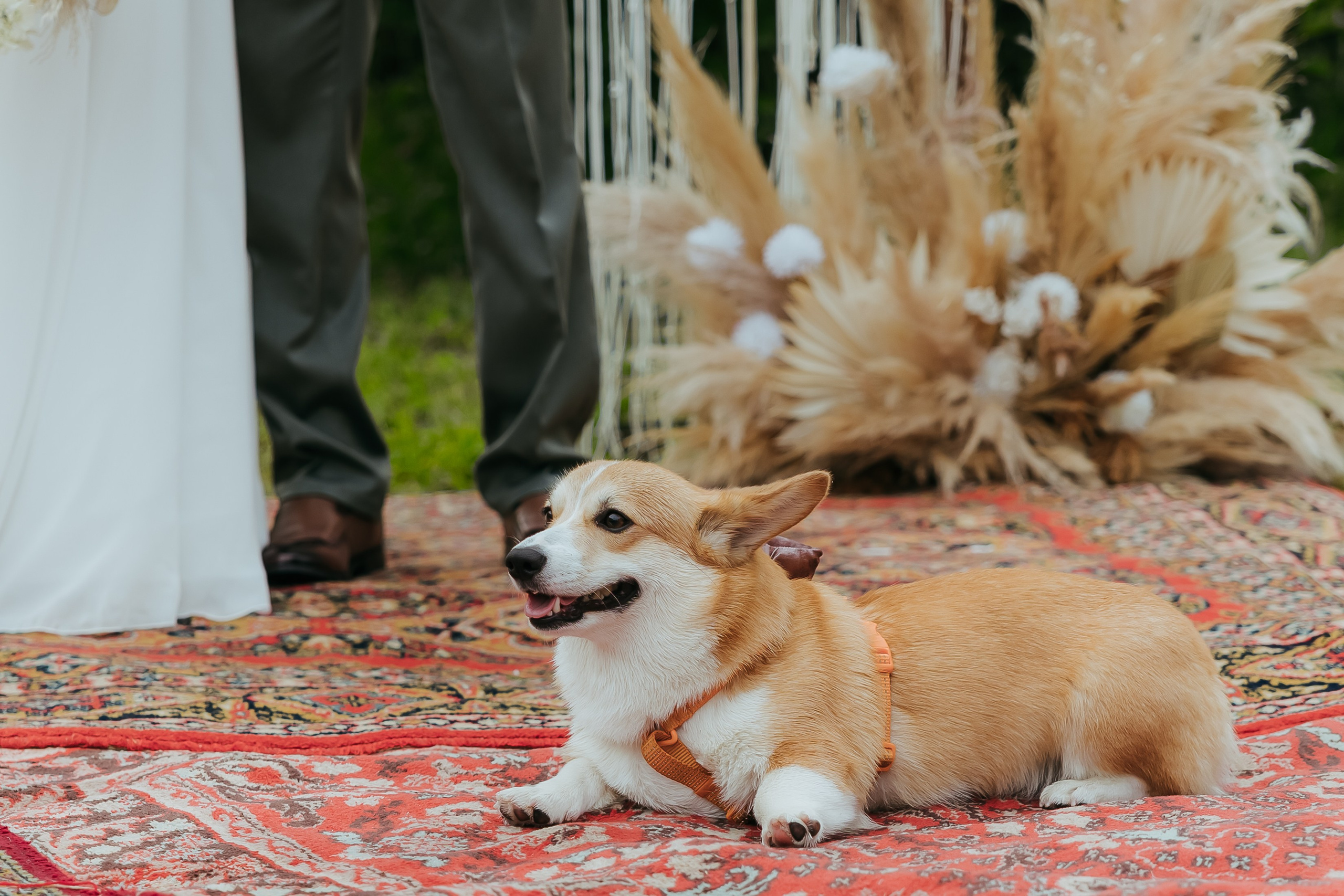 Вова и Оля. Ольга Шундеева — фотограф