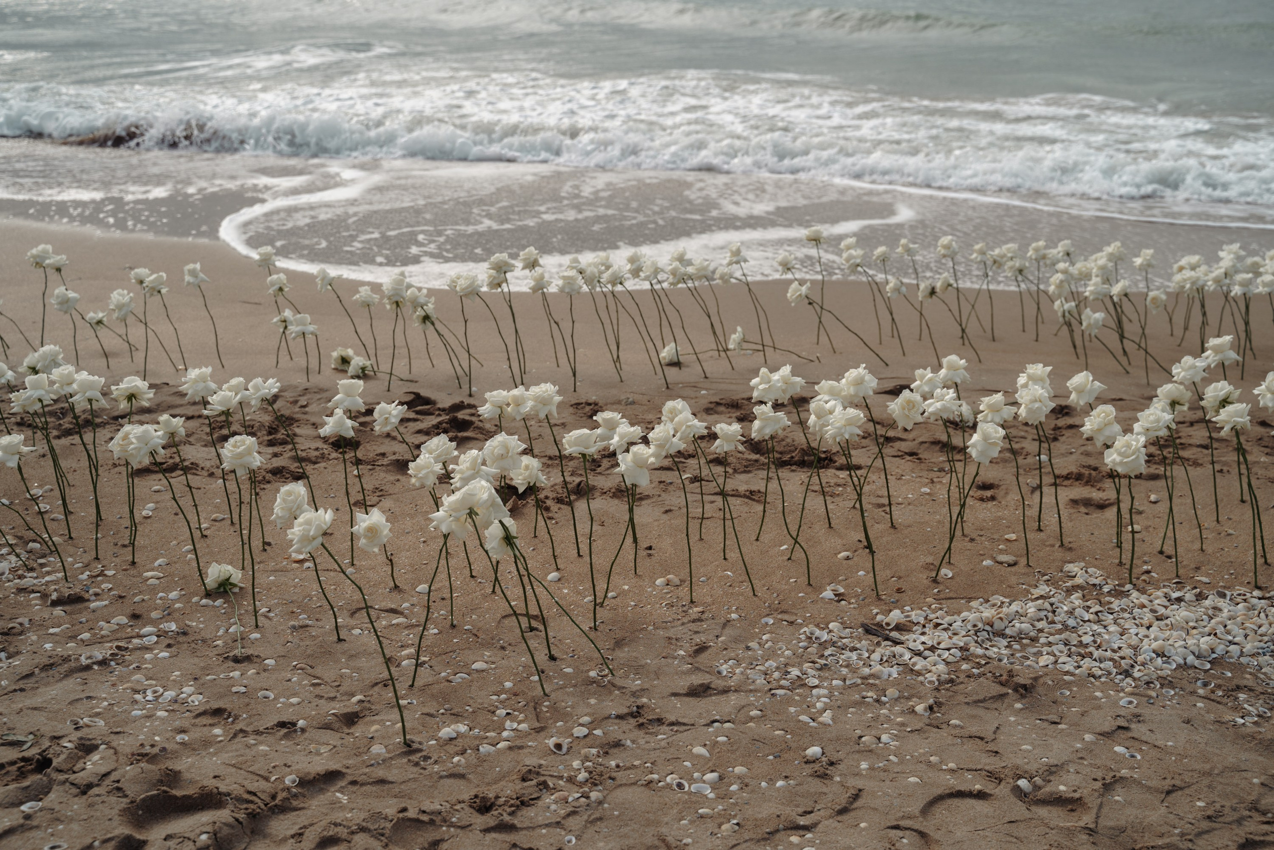 Mermaid. Портретный фотограф в Краснодаре Валерия Матирная