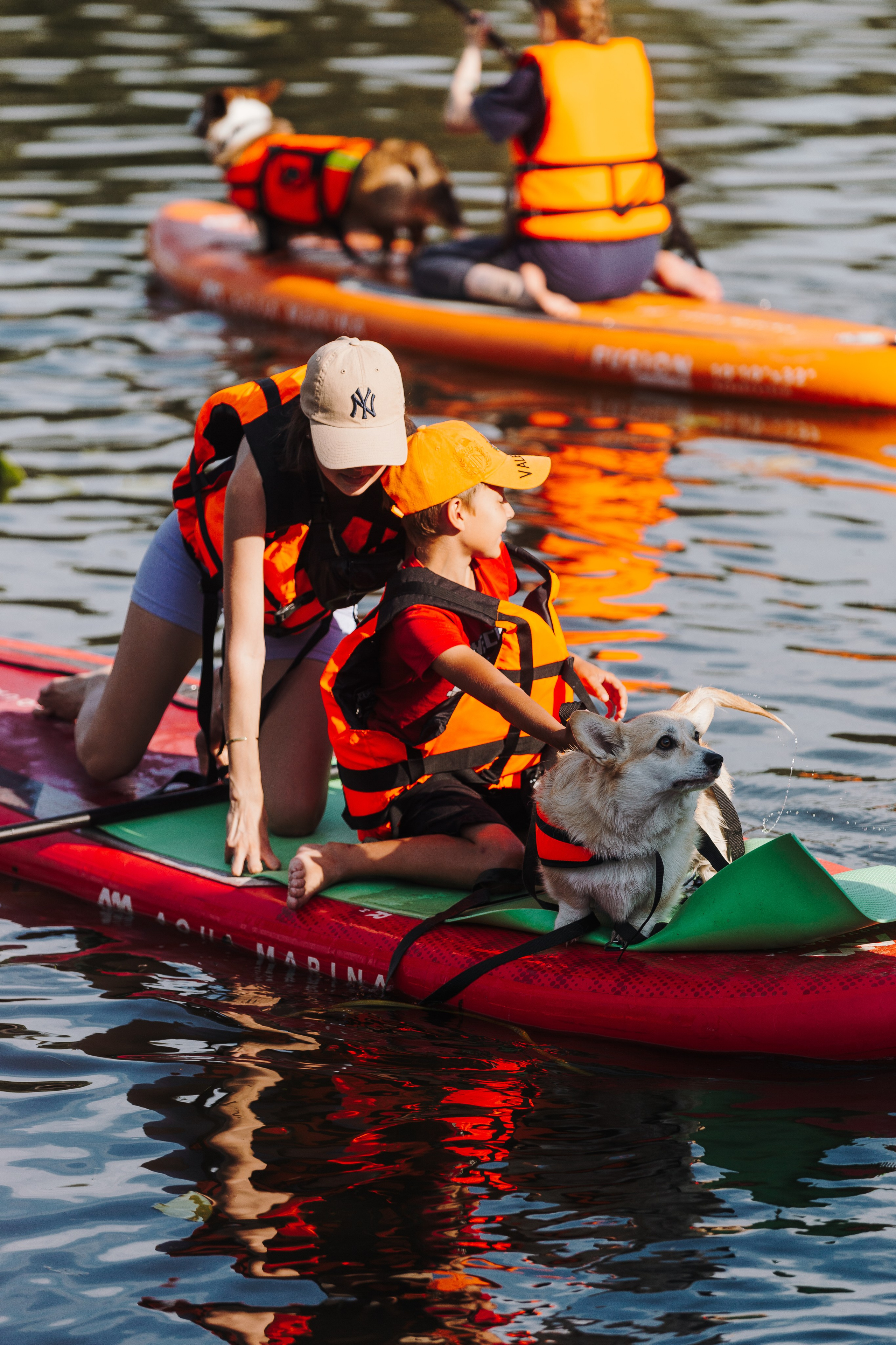 Petshop Sup day. Фотограф анималист Кристина Карпова, Москва