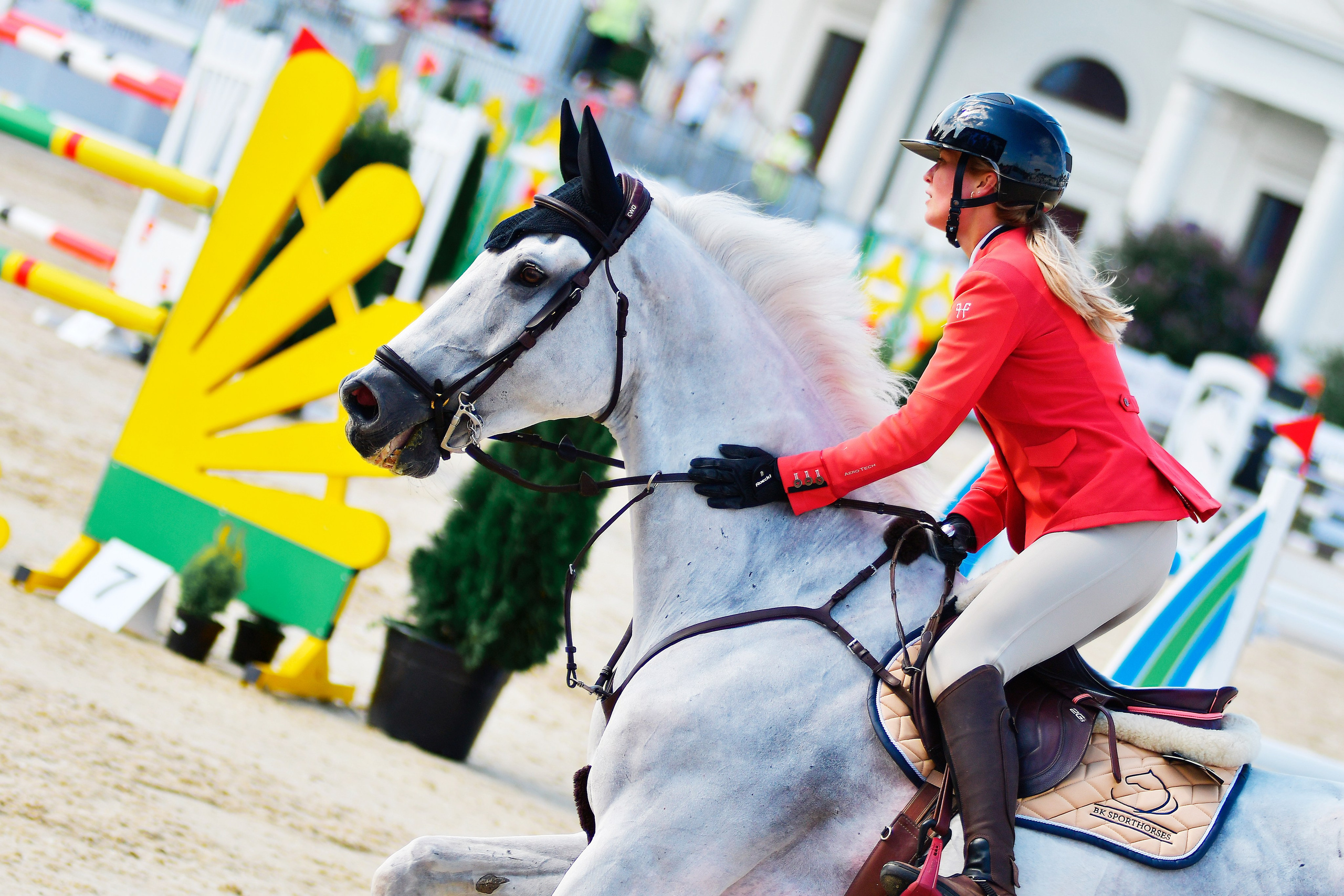 Репортаж Bitriver. Конный фотограф Alesya Safe