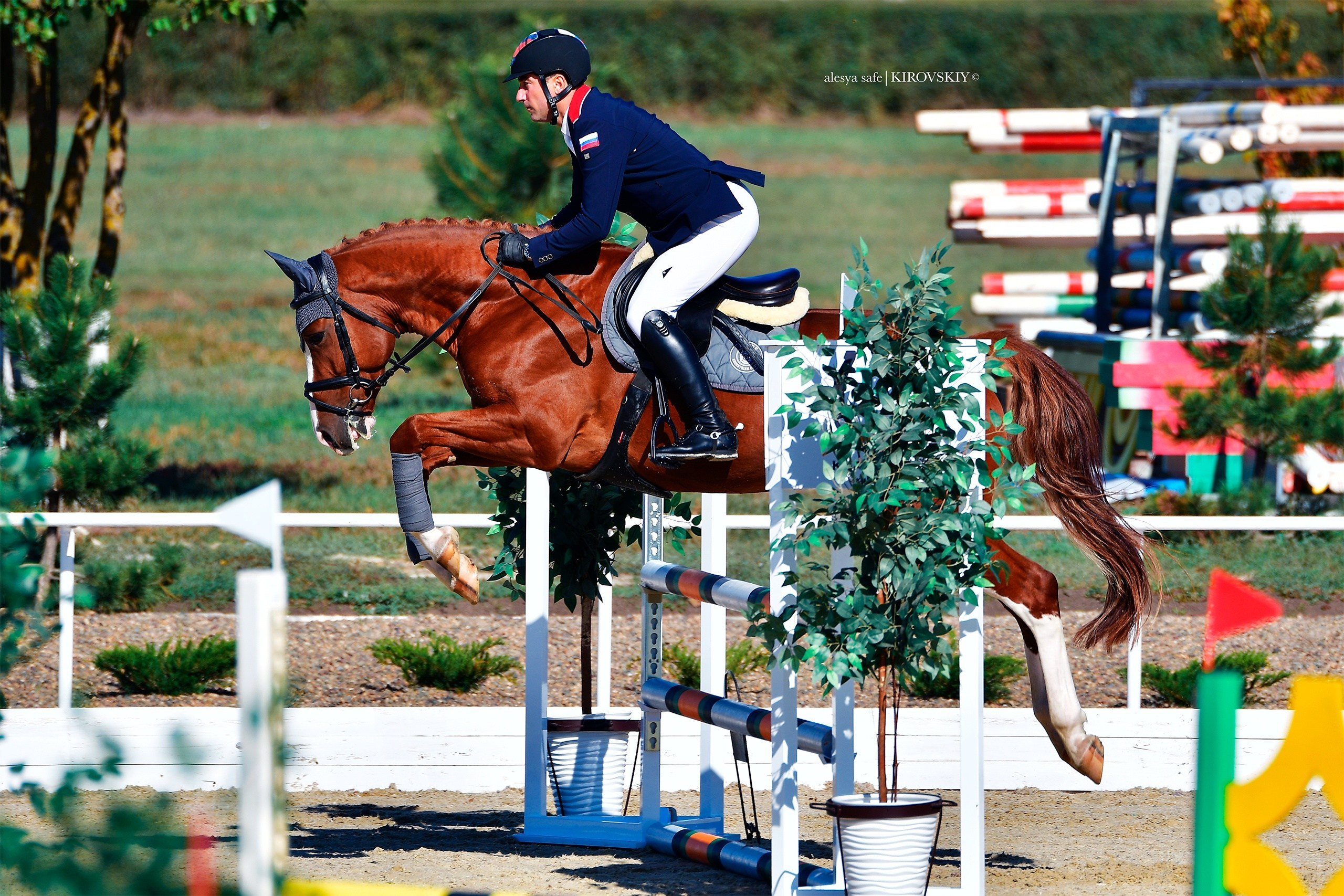 Кировский конный завод. Конный фотограф Alesya Safe
