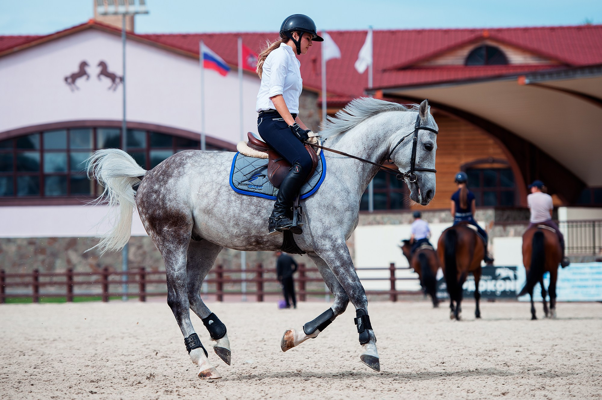 Тренировки. Конный фотограф Alesya Safe