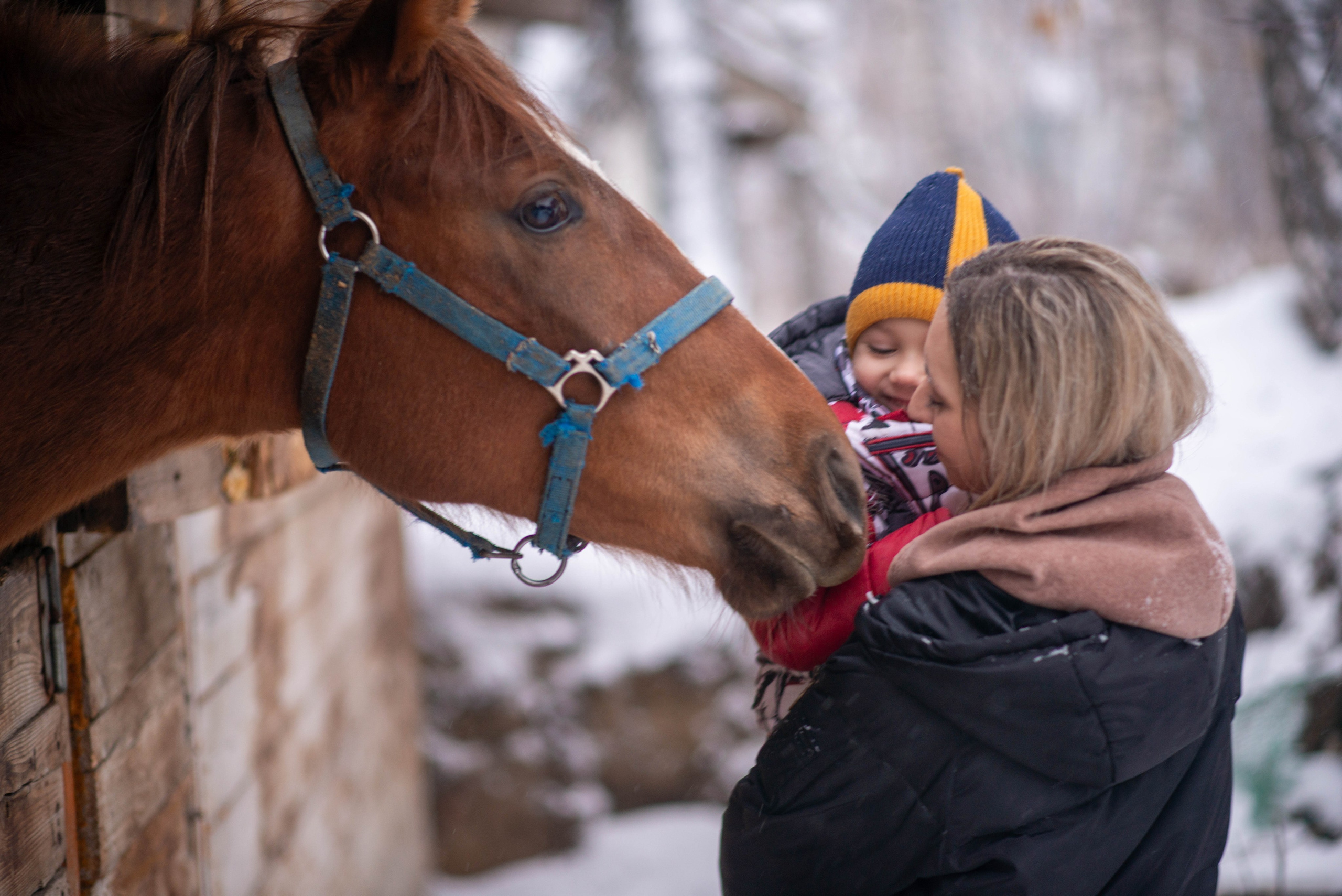 Общая серия семейная фотография. Фотограф в городе Новосибирск Линг Даниил