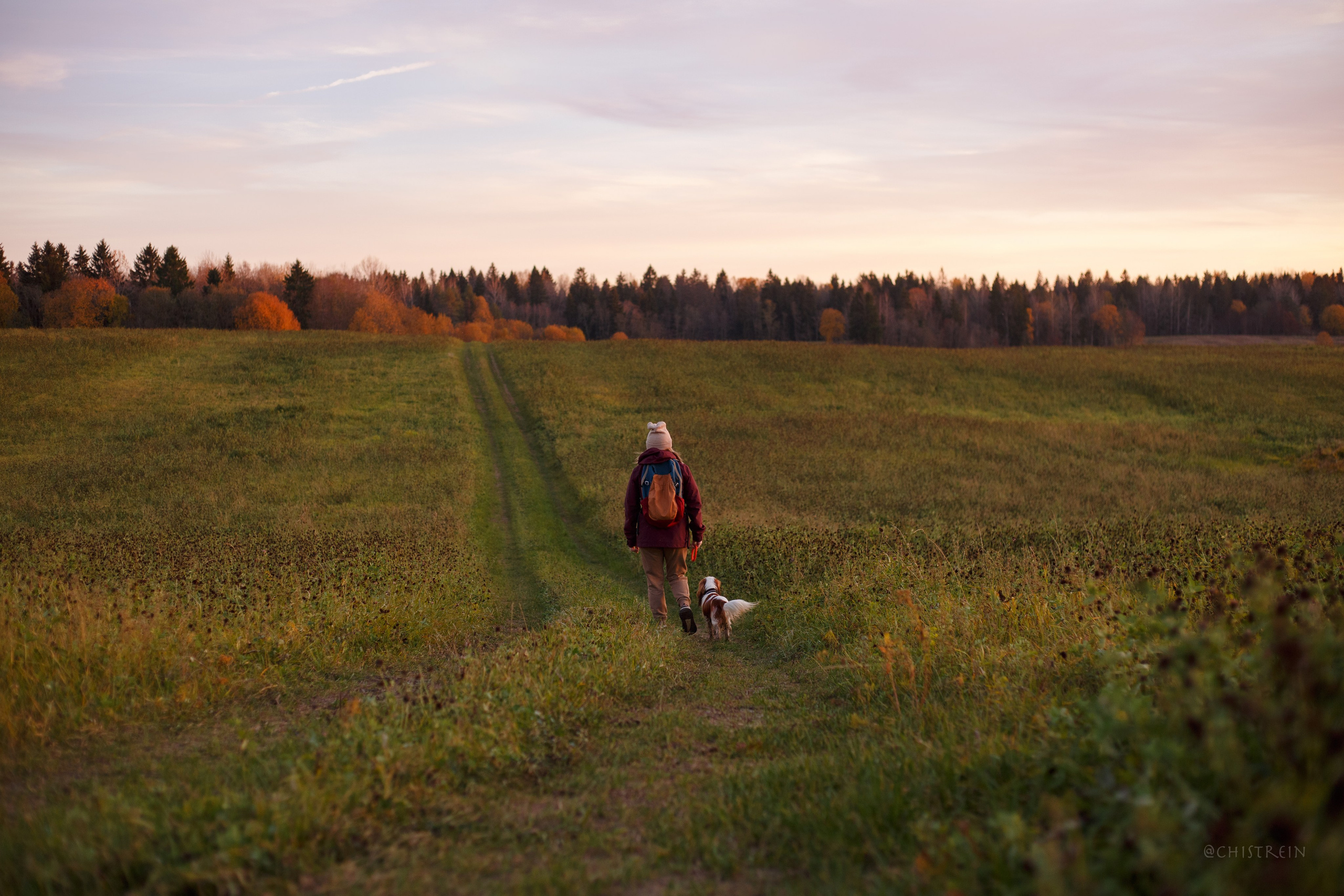 Октябрьский закат в полях. Алина и Лео. Фотограф-анималист Наталия Чистюхина в г. Сосновый Бор и ЛО