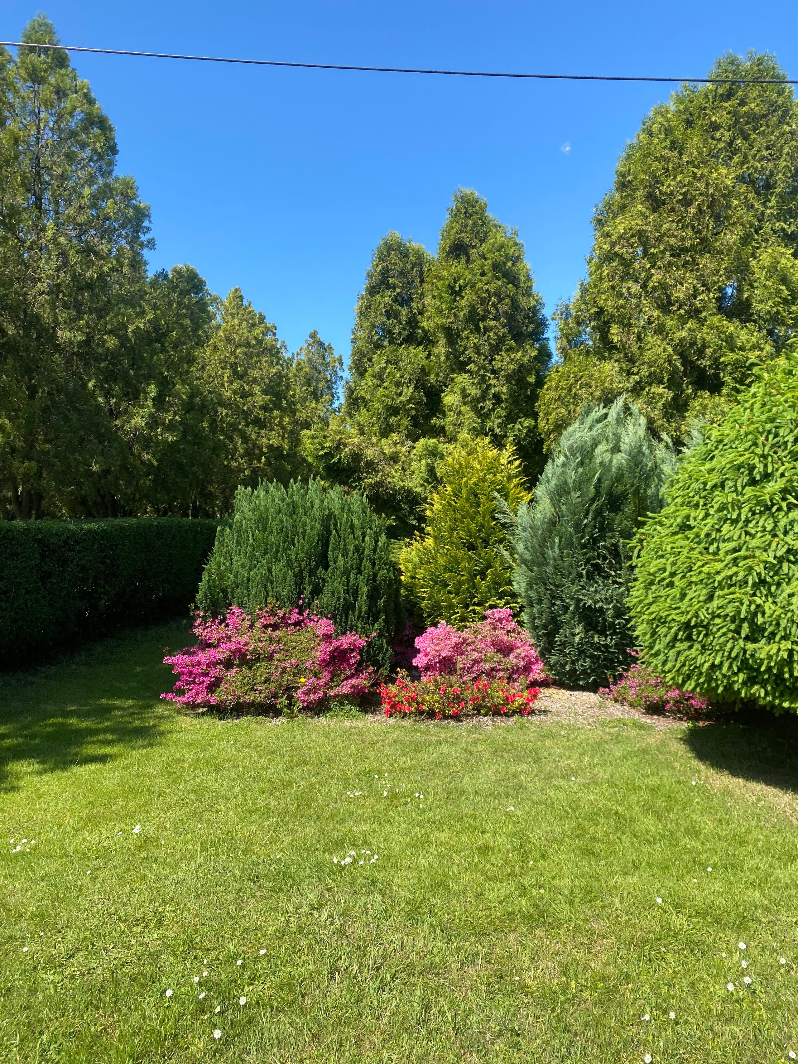 Валбджих. Своя Мастерская