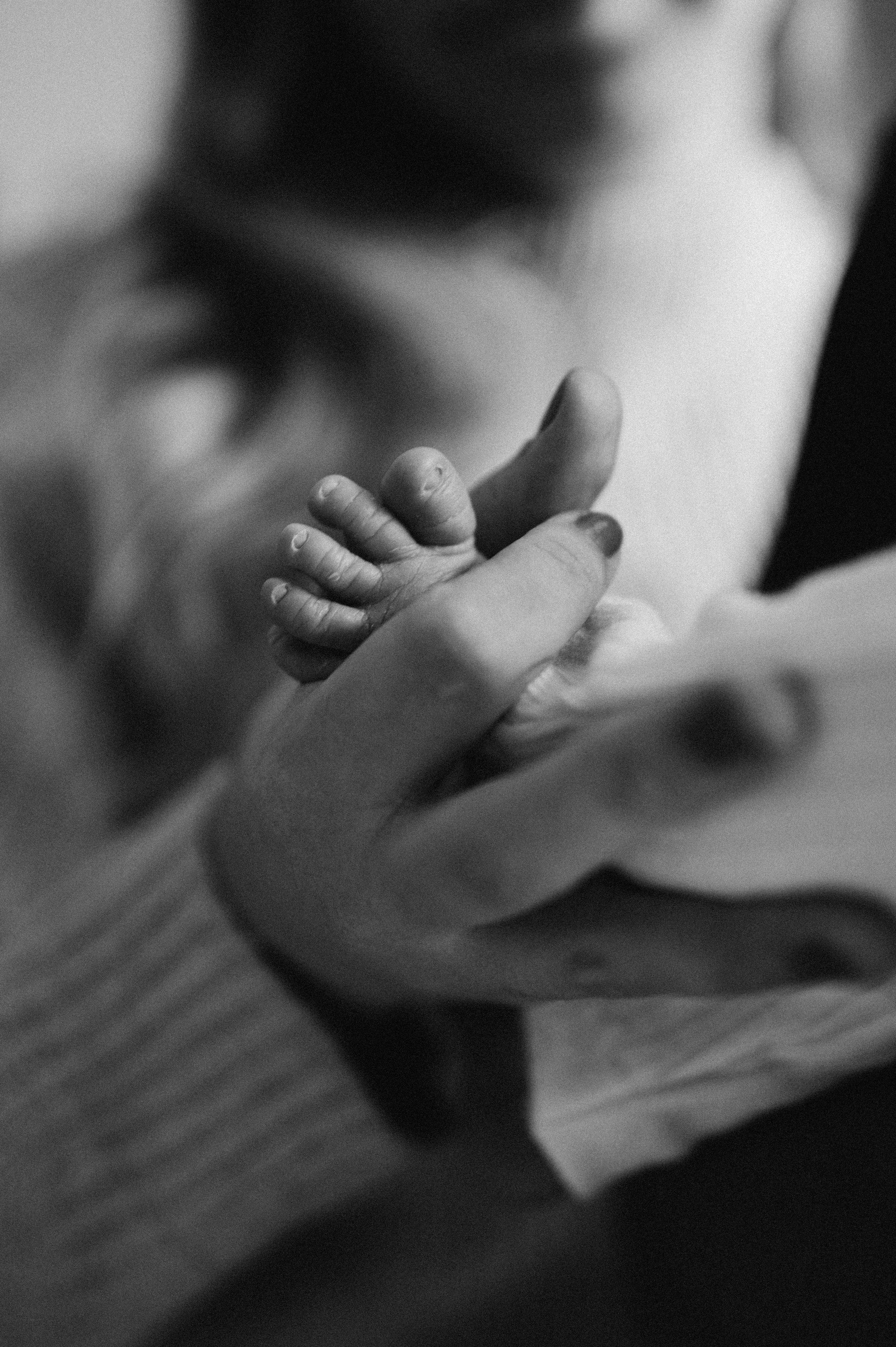 Новорожденные. Фотограф новорожденных и беременых в санкт-петербурге Юля Лампа