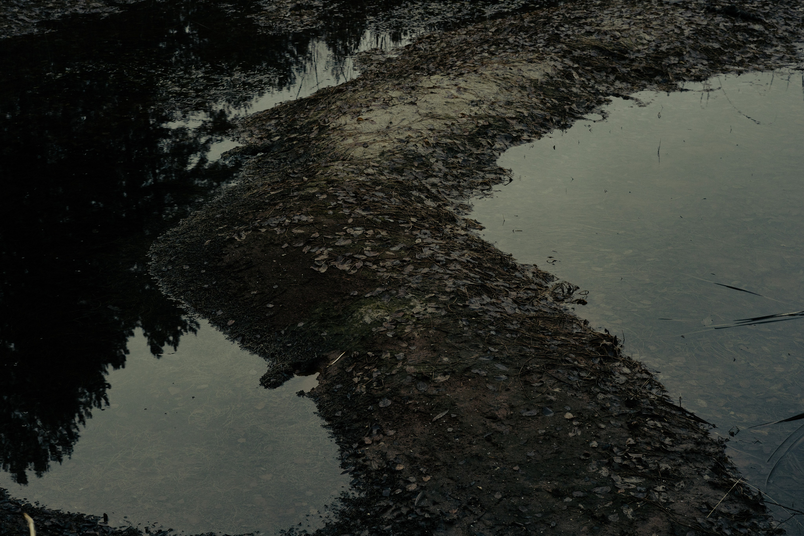 Метафизика. Фотограф Александр Тихонов