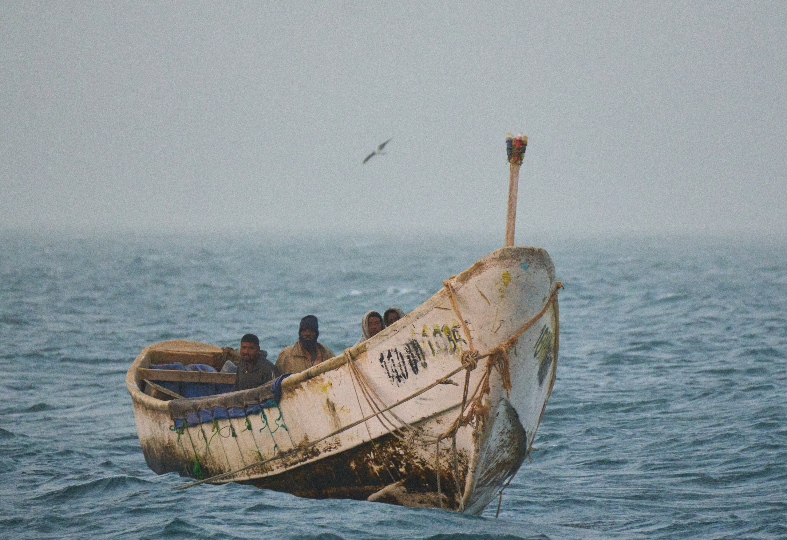 Morocco-Gambia. See the moment and catche. commercial and reportage