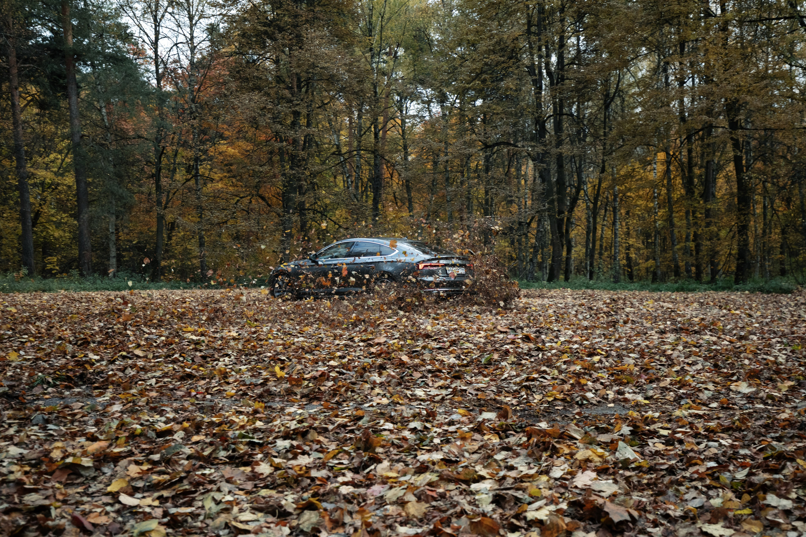 AUDI. Вадим Ветров
