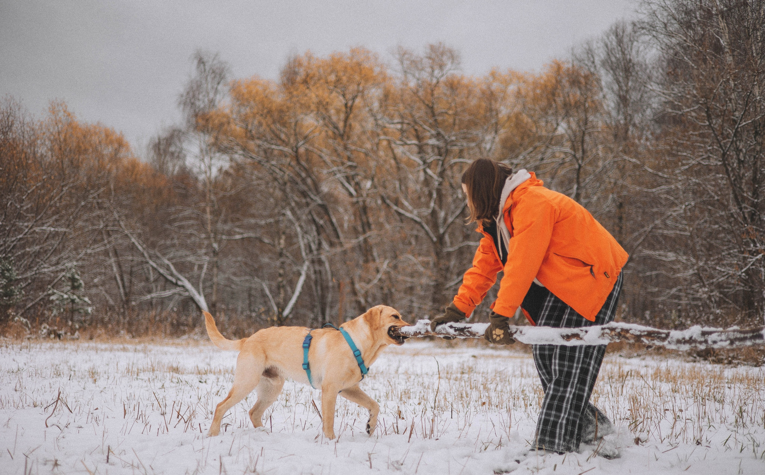 Маргарита и Варди. Фотограф-анималист Богданова Полина