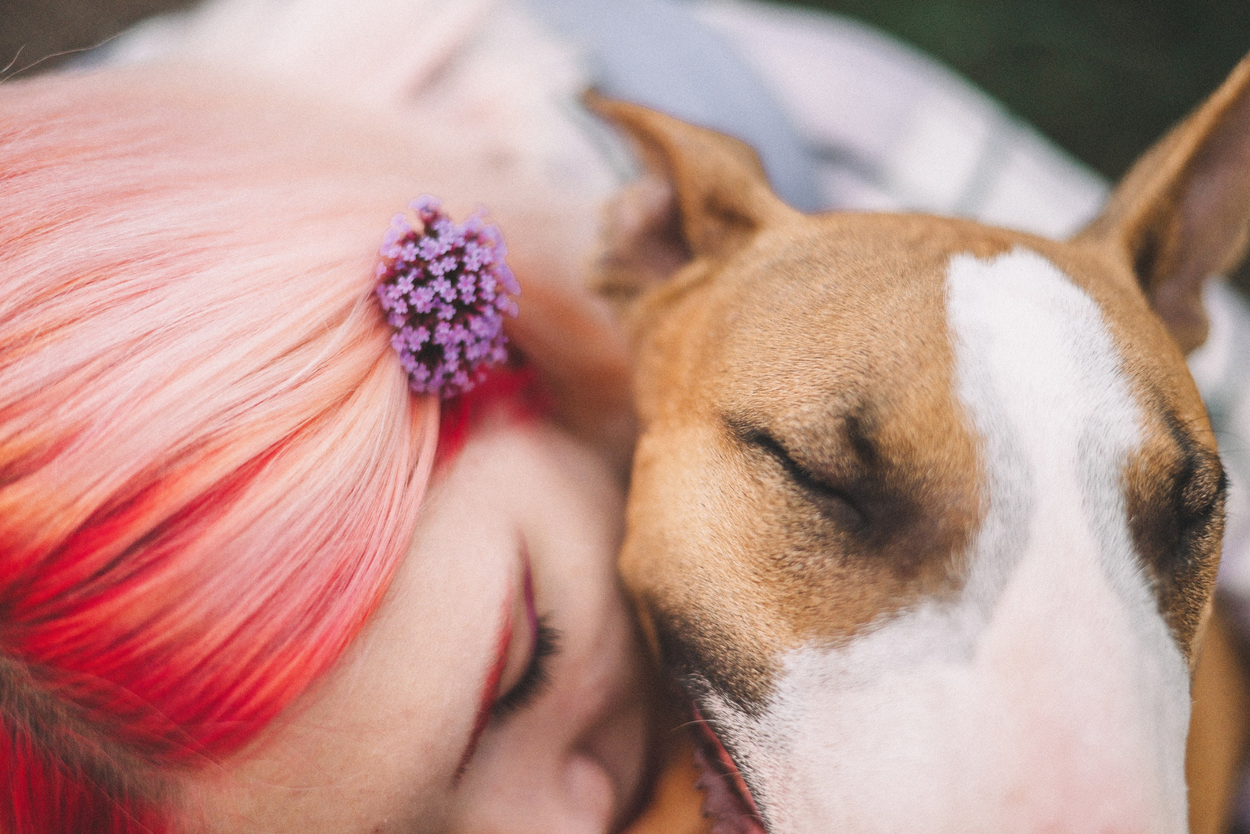 Маша и Рулька. Фотограф-анималист Богданова Полина