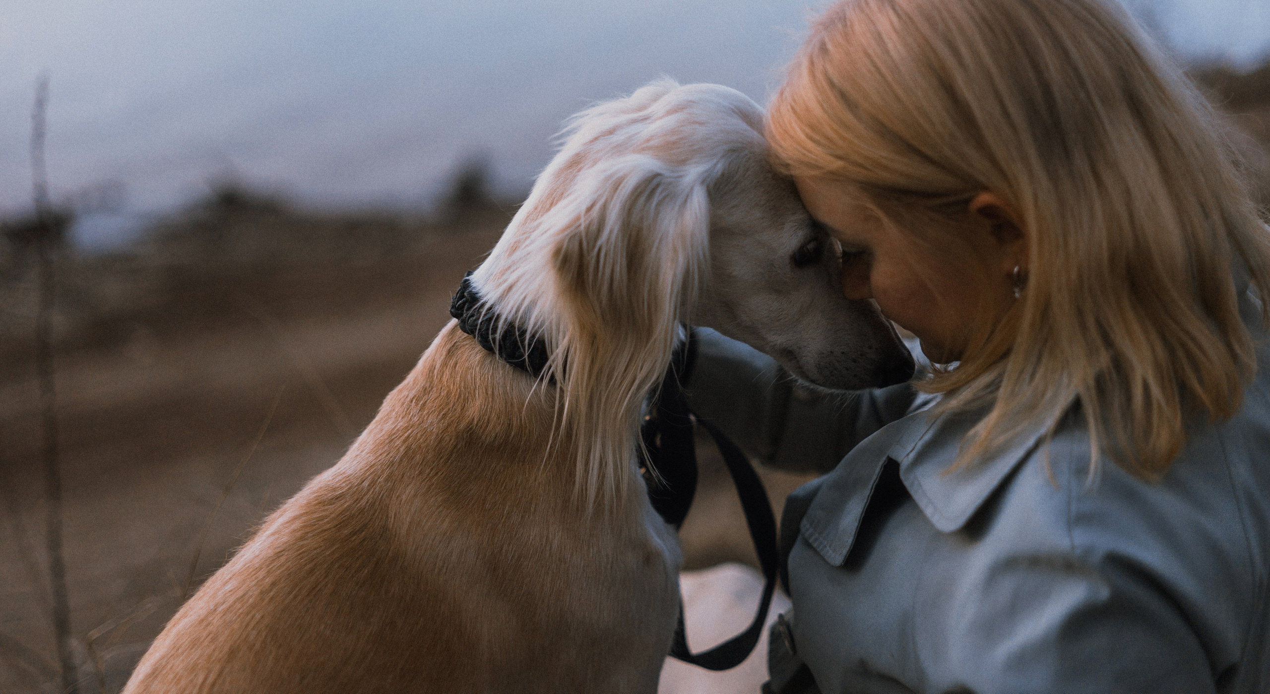 Настя и Бейда. Фотограф-анималист Богданова Полина