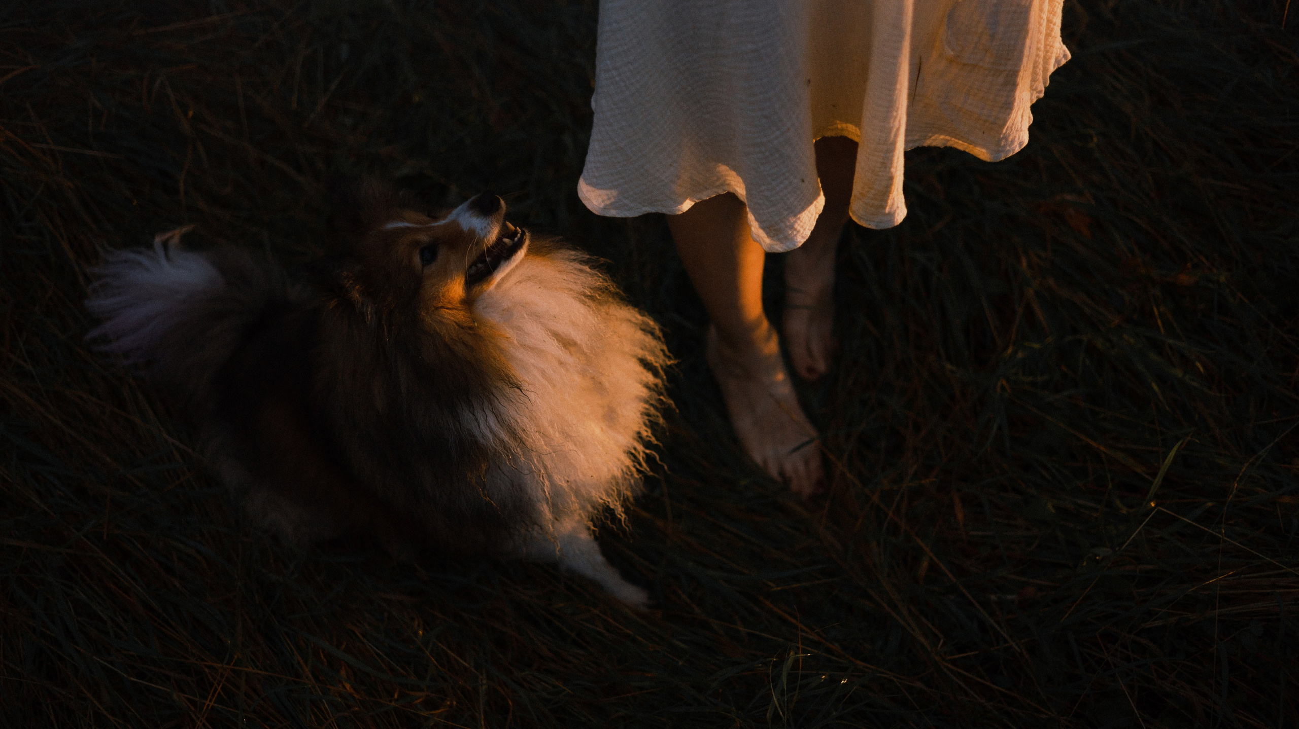 Аня и Скай. Фотограф-анималист Богданова Полина