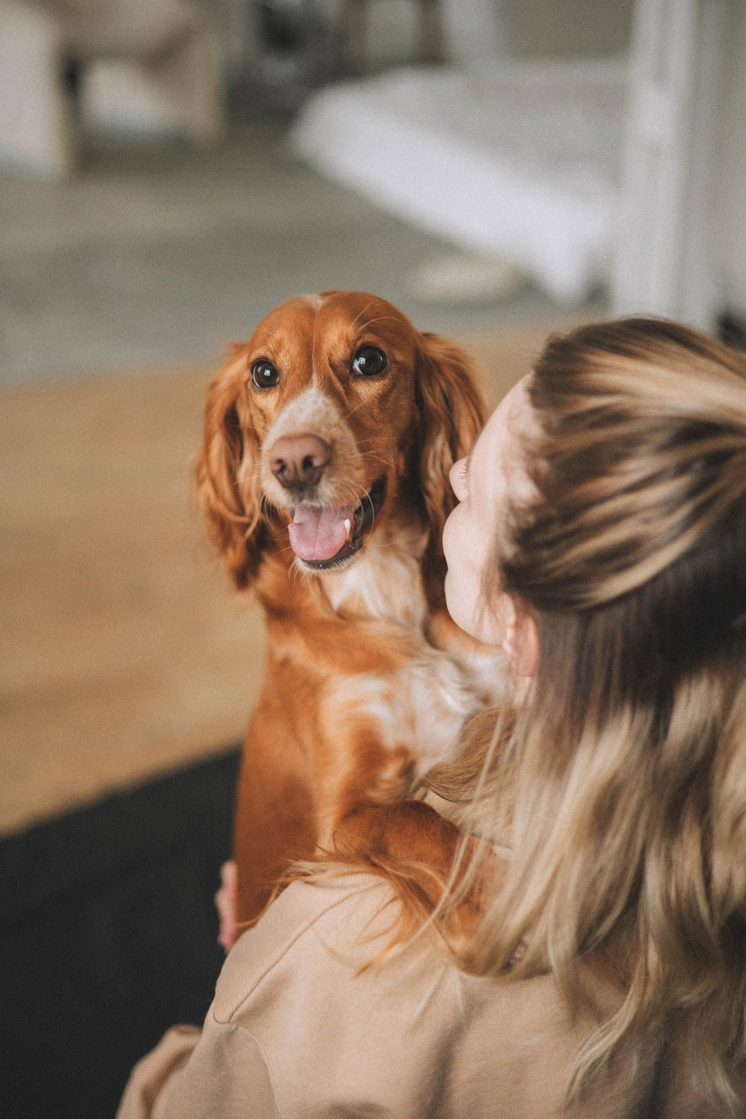 Алина и Дженни. Фотограф-анималист Богданова Полина