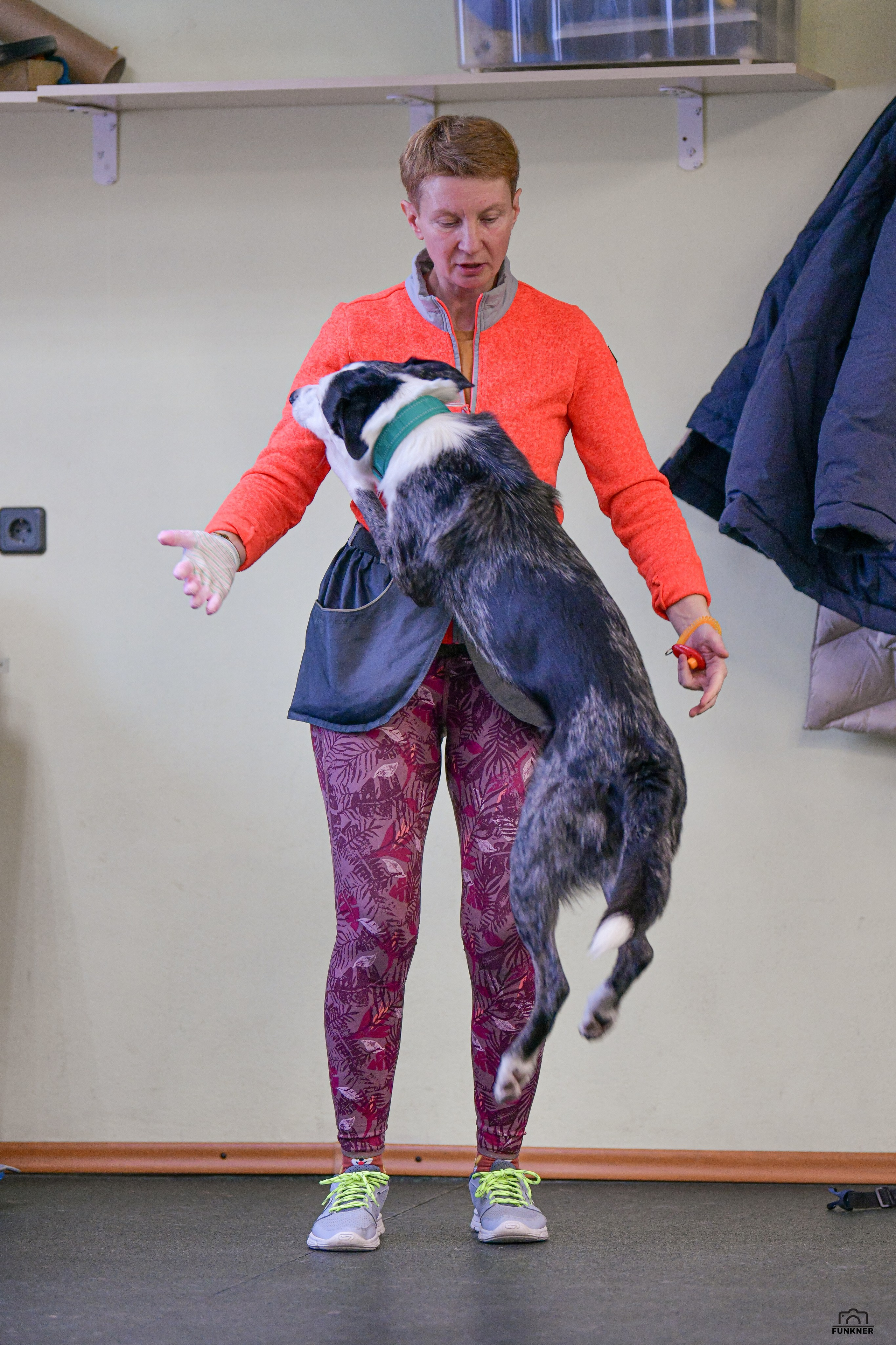 Кинологический клуб «Бодрый хвост». Свой взгляд через объектив