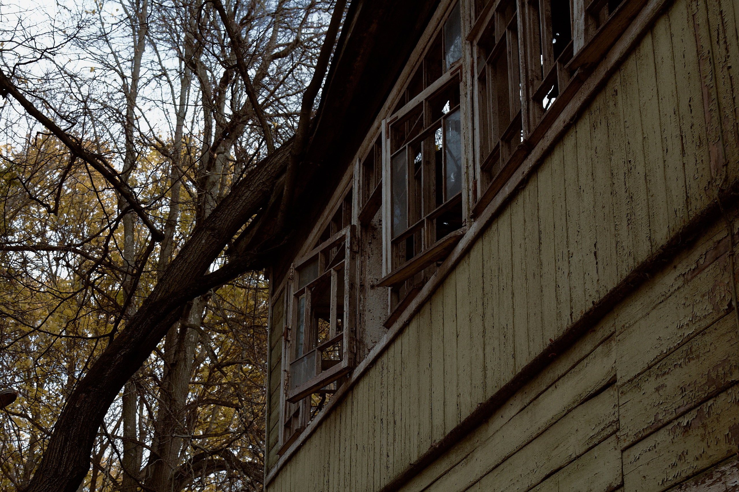 Русская сказка. Фотограф лавстори Москва/МО Приятелева Ангелина