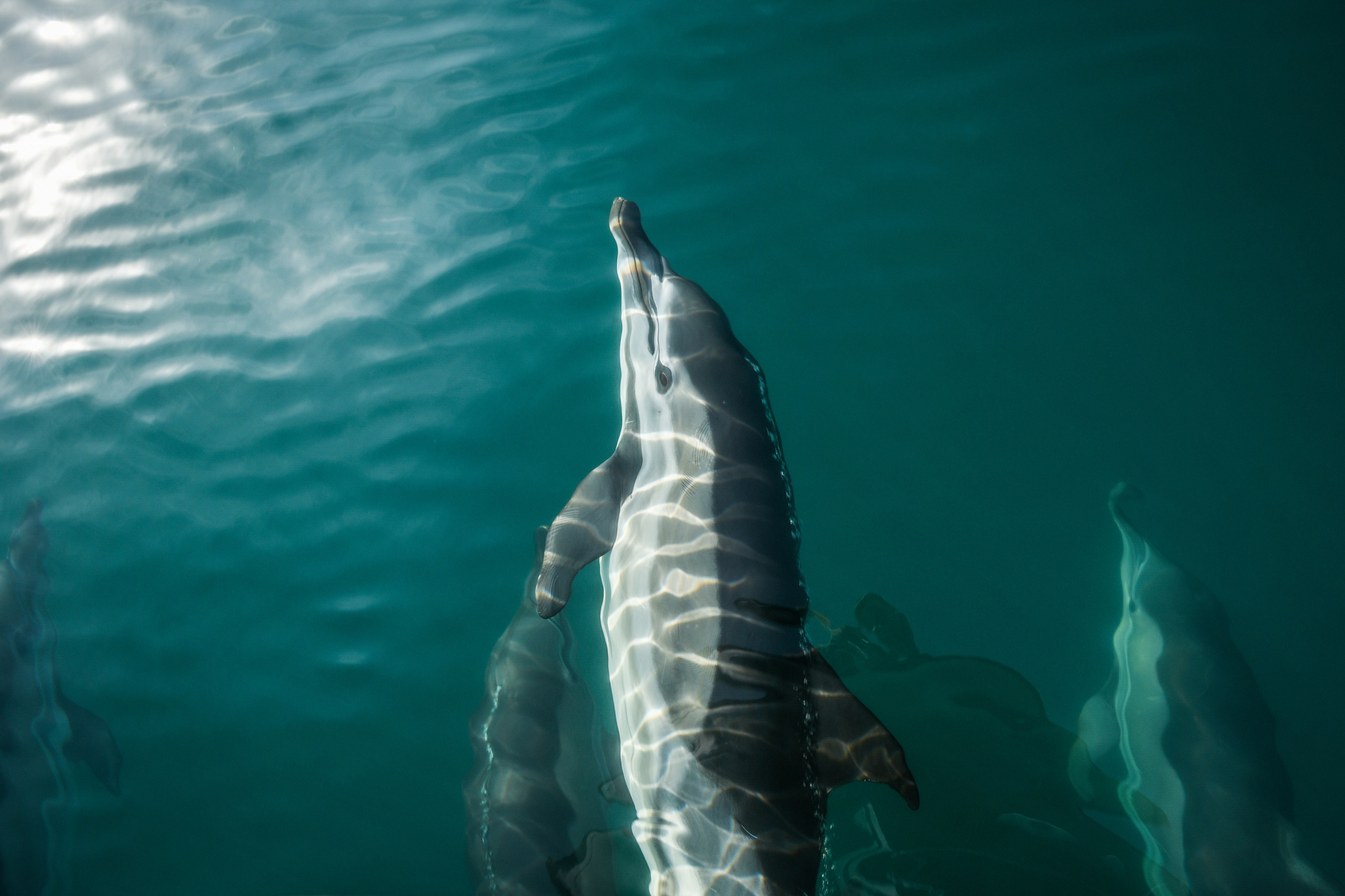 Wild and free. Anastasia Serdyuk, travel photographer, travel photo, portraits, stories, fineart prints