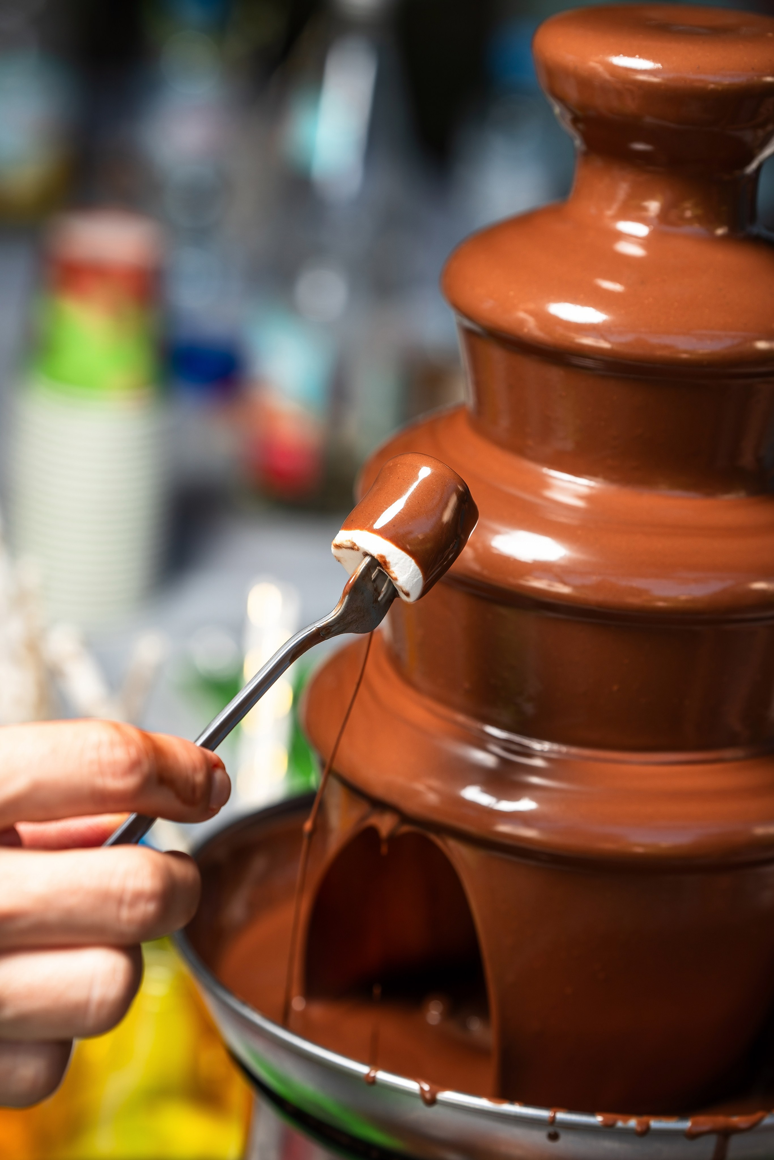 Фотограф сочи на день рождения. Фотограф Сочи