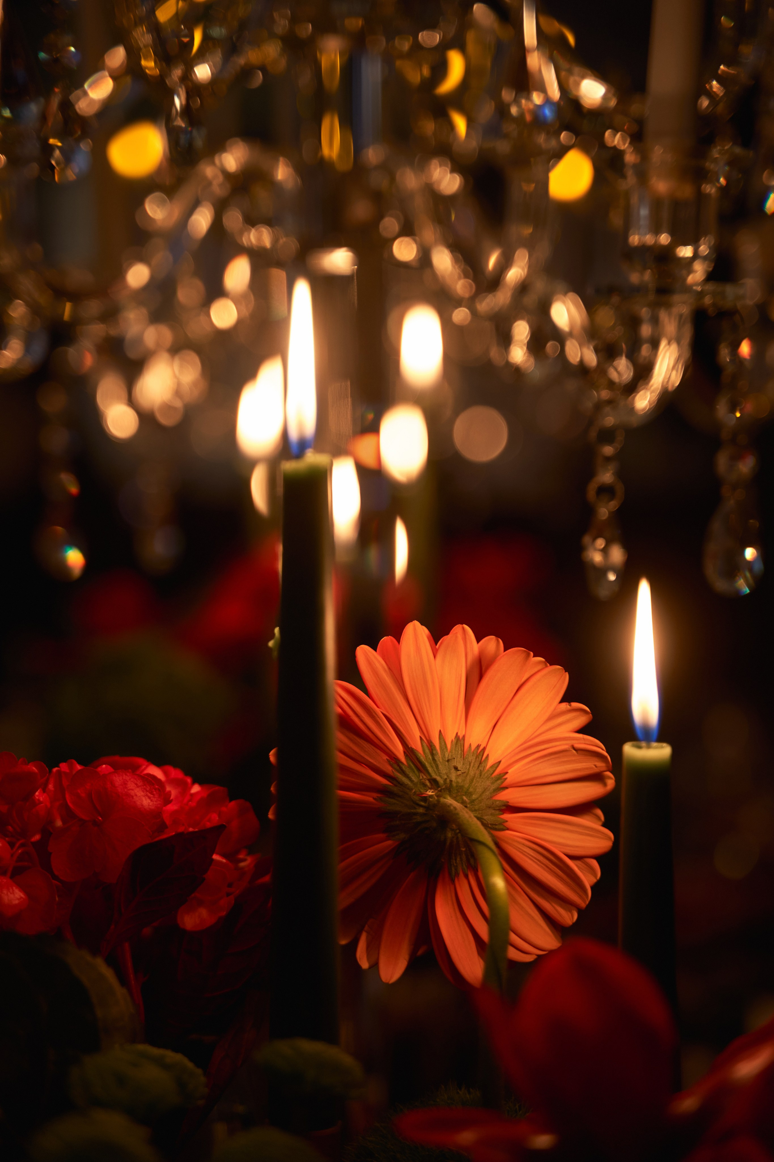 Светская съемка дня рождения 18 лет Камилле от ТВИНС СТУДИО. ТВИНС СТУДИО — лучшие свадебные фотографы и видеографы в Краснодаре