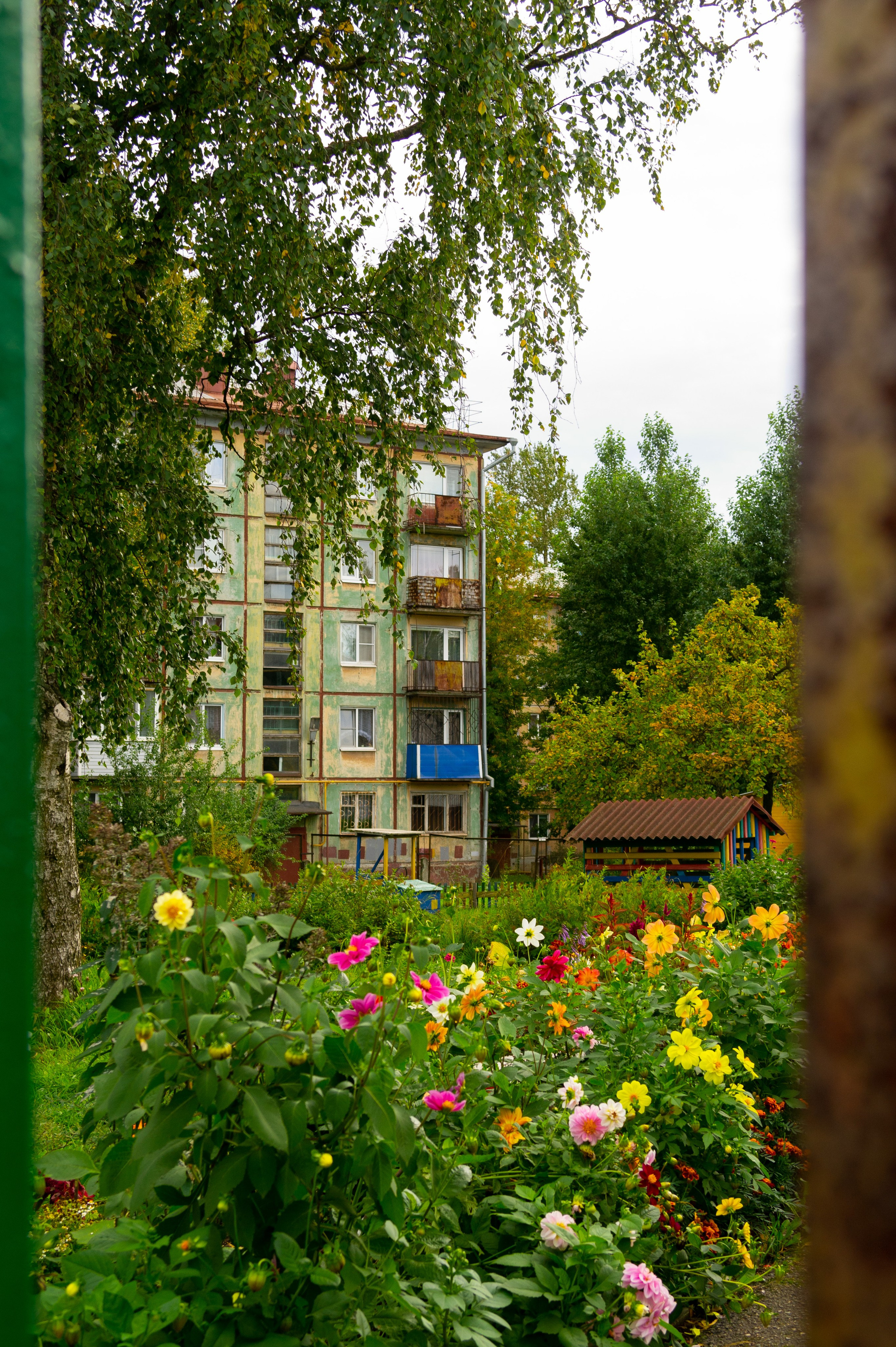 Сентябрь 2025. Den Mirov — Фотограф, Музыкант