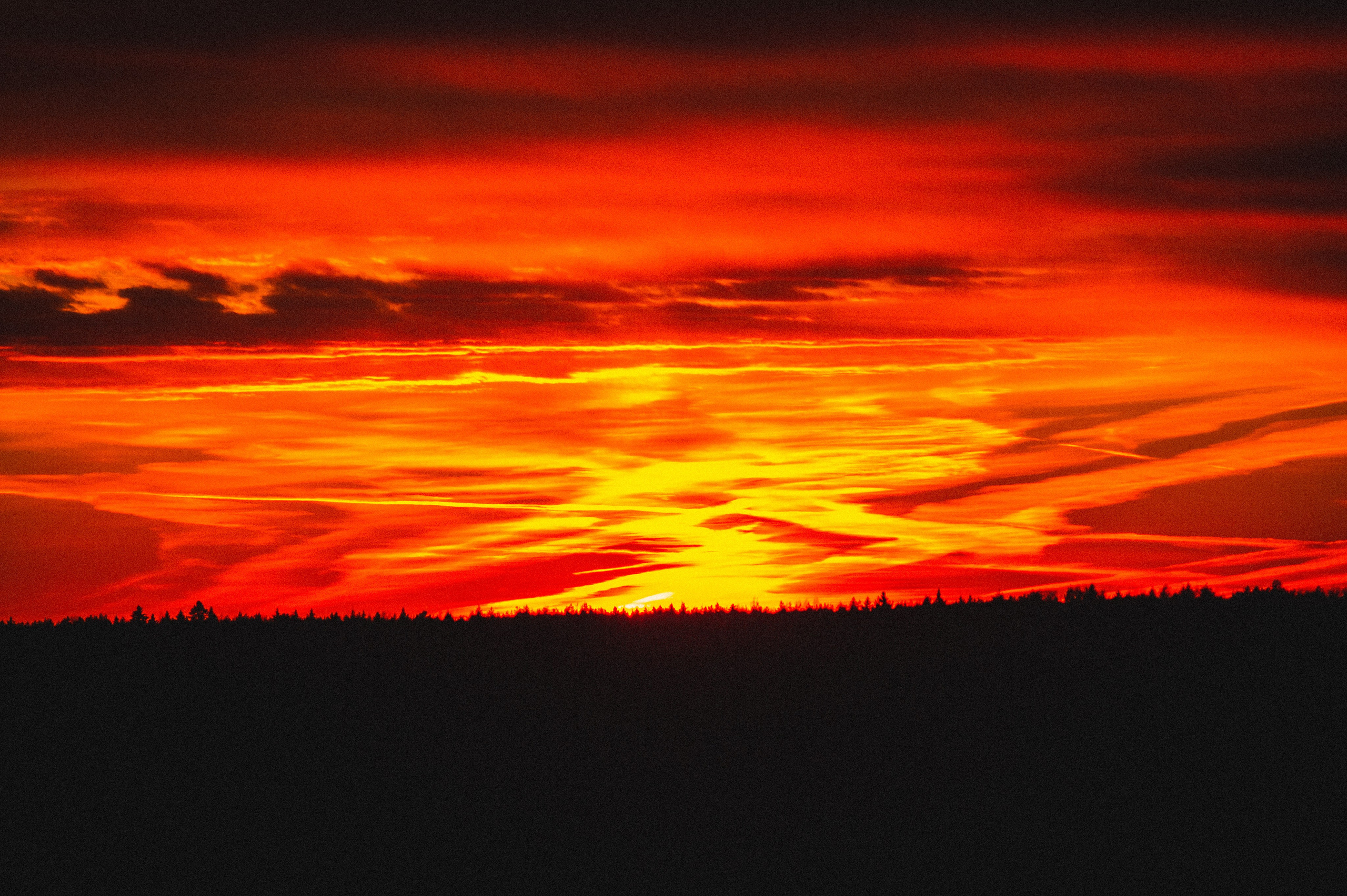 Ждун. Den Mirov — Фотограф, Музыкант