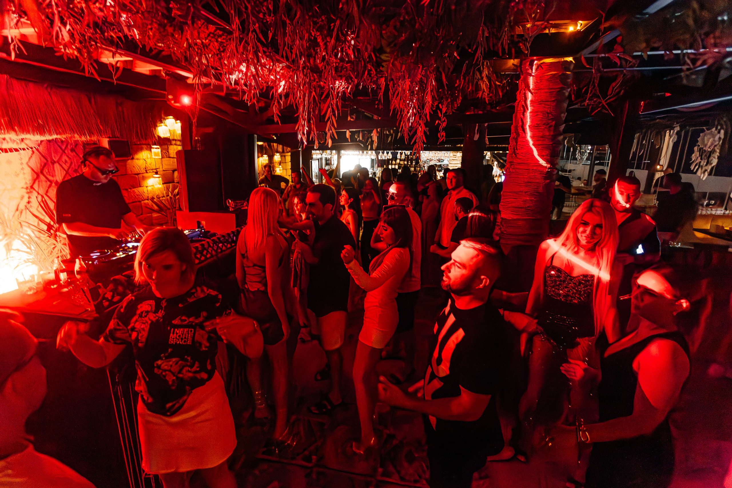 Чайка_на_пляже_Андро_Ялта_24.08.2024. Аминов Руслан | Фотограф