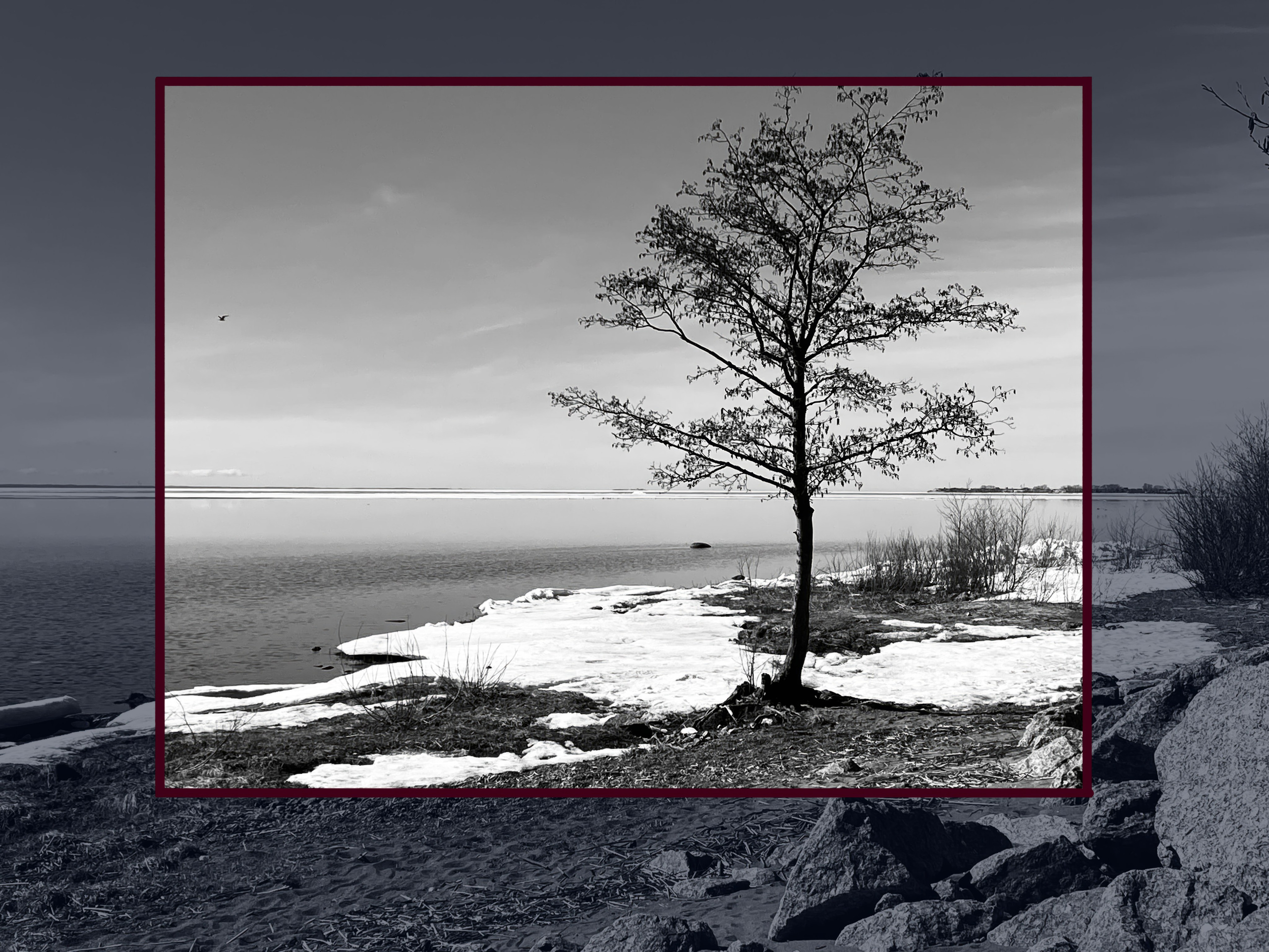 Zoom — авторская фотография Ма. Ма