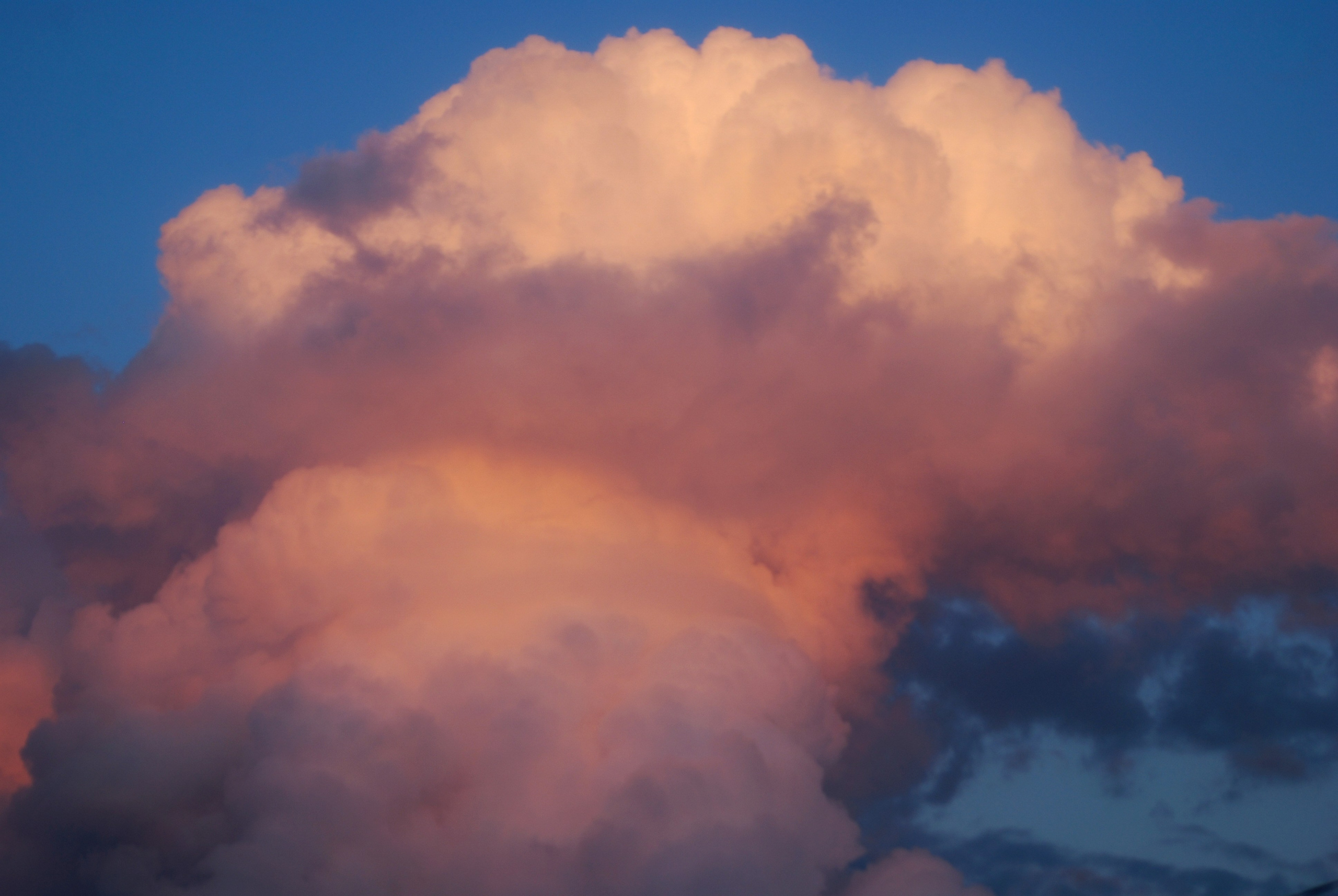 Этот прекрасный мир