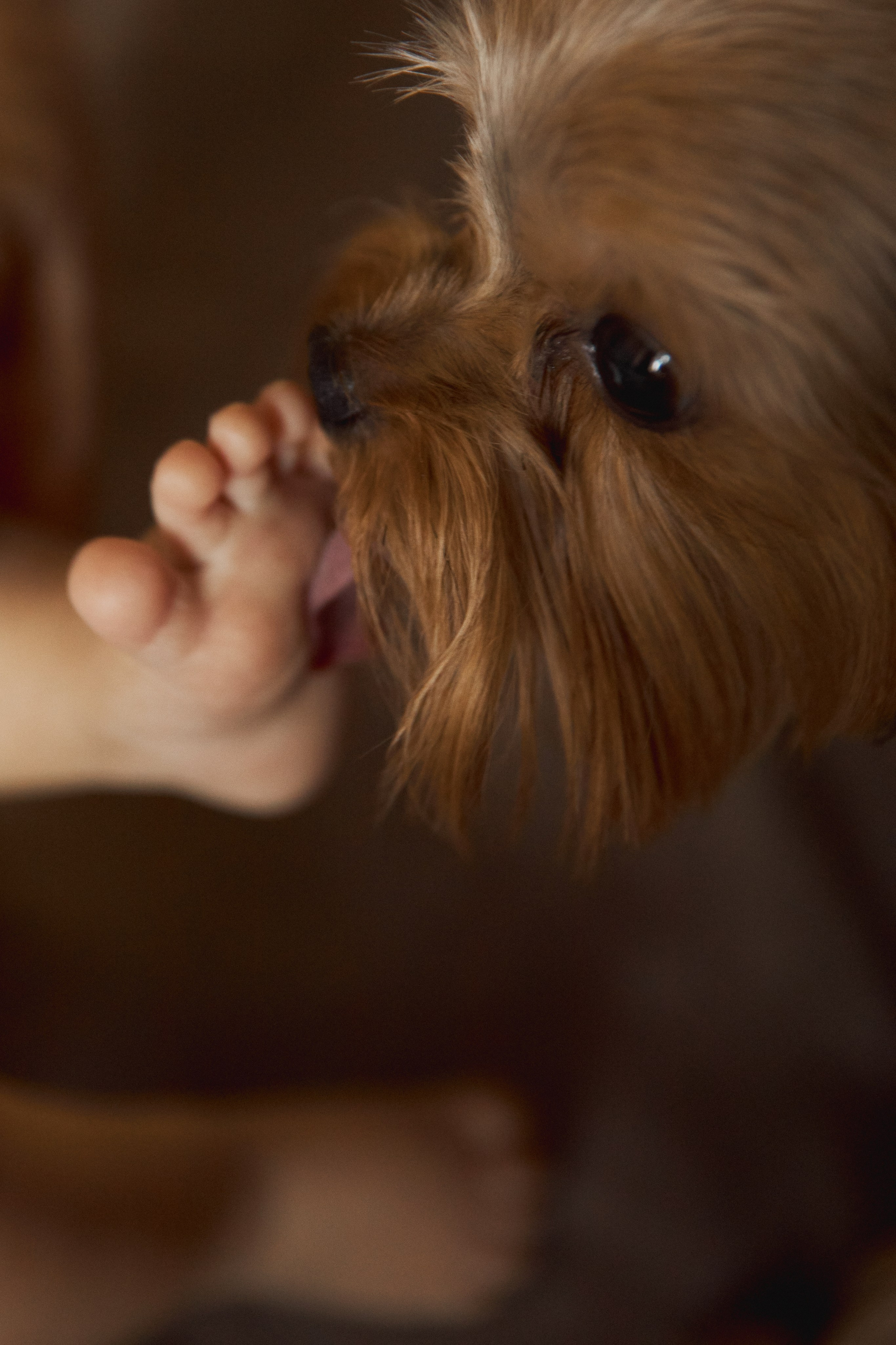 Лева и его семья. Семейный и свадебный фотограф Лилия Матонина | Ангарск, Иркутск, Усолье-Сибирское, Байкал (Листвянка, Ольхон), Иркутская область