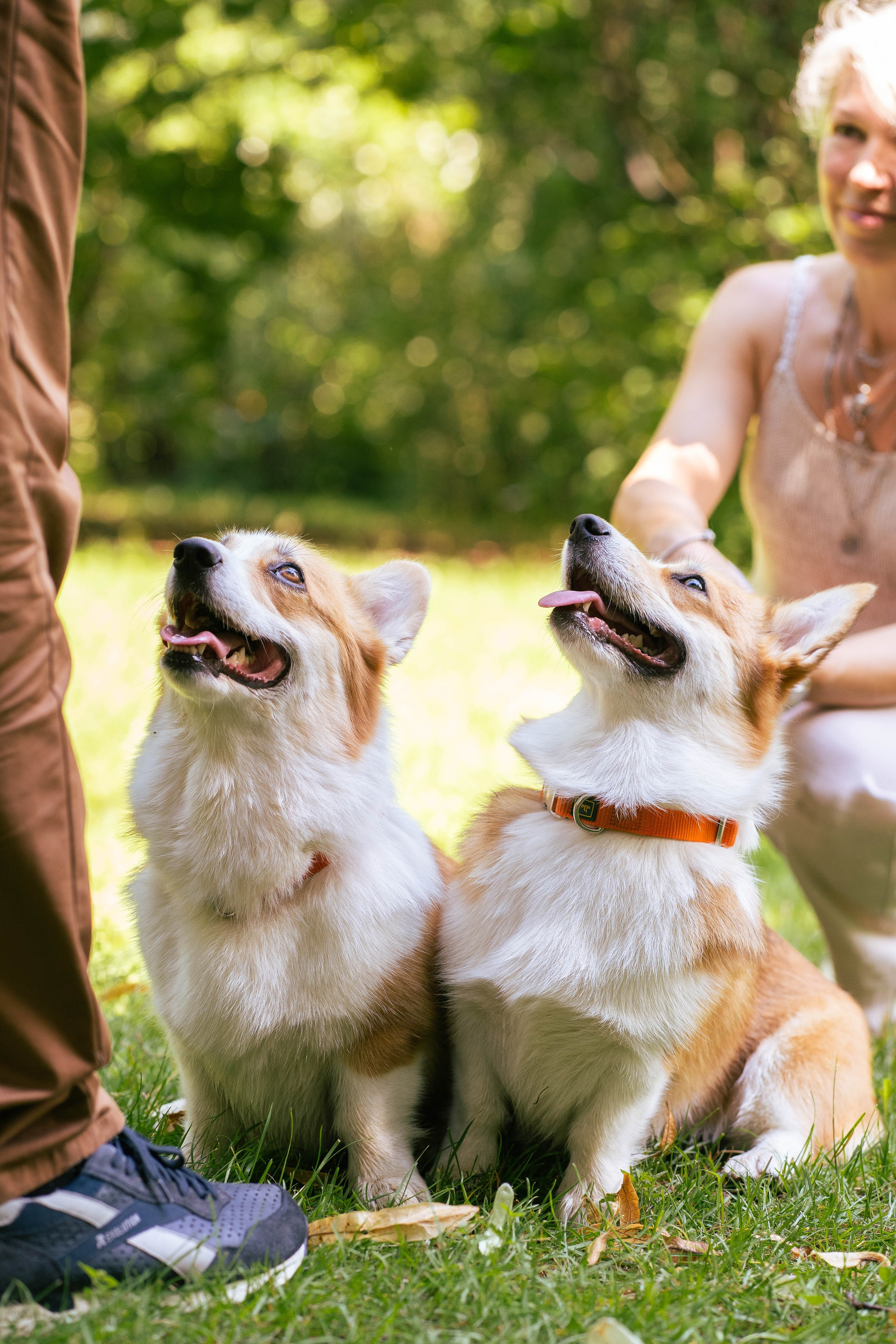 Ольга и коржики. Свадебный фотограф в Москве Анна Полушина