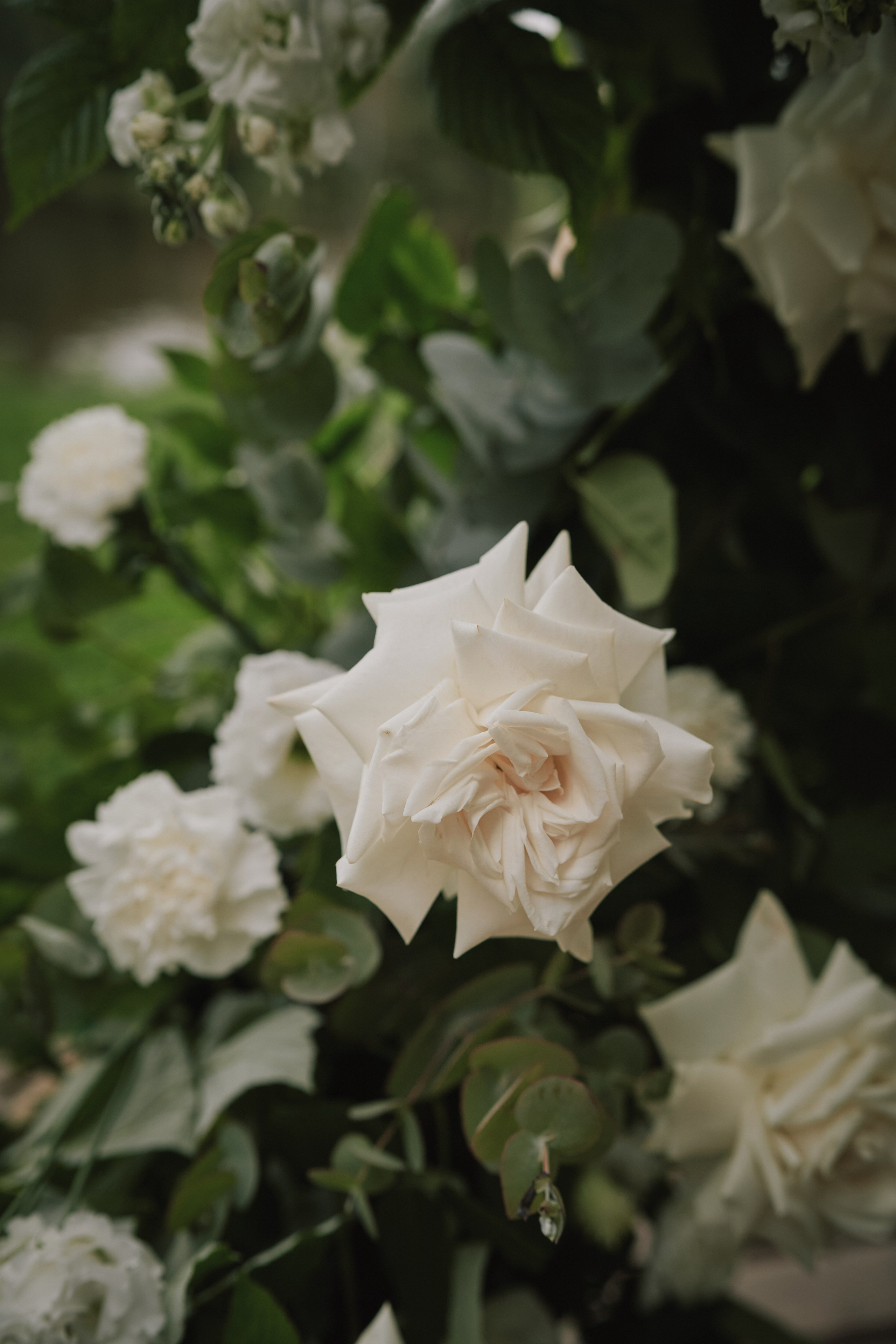 Маша и Саша. Фотограф в Санкт-Петербурге | Аня Маленчук