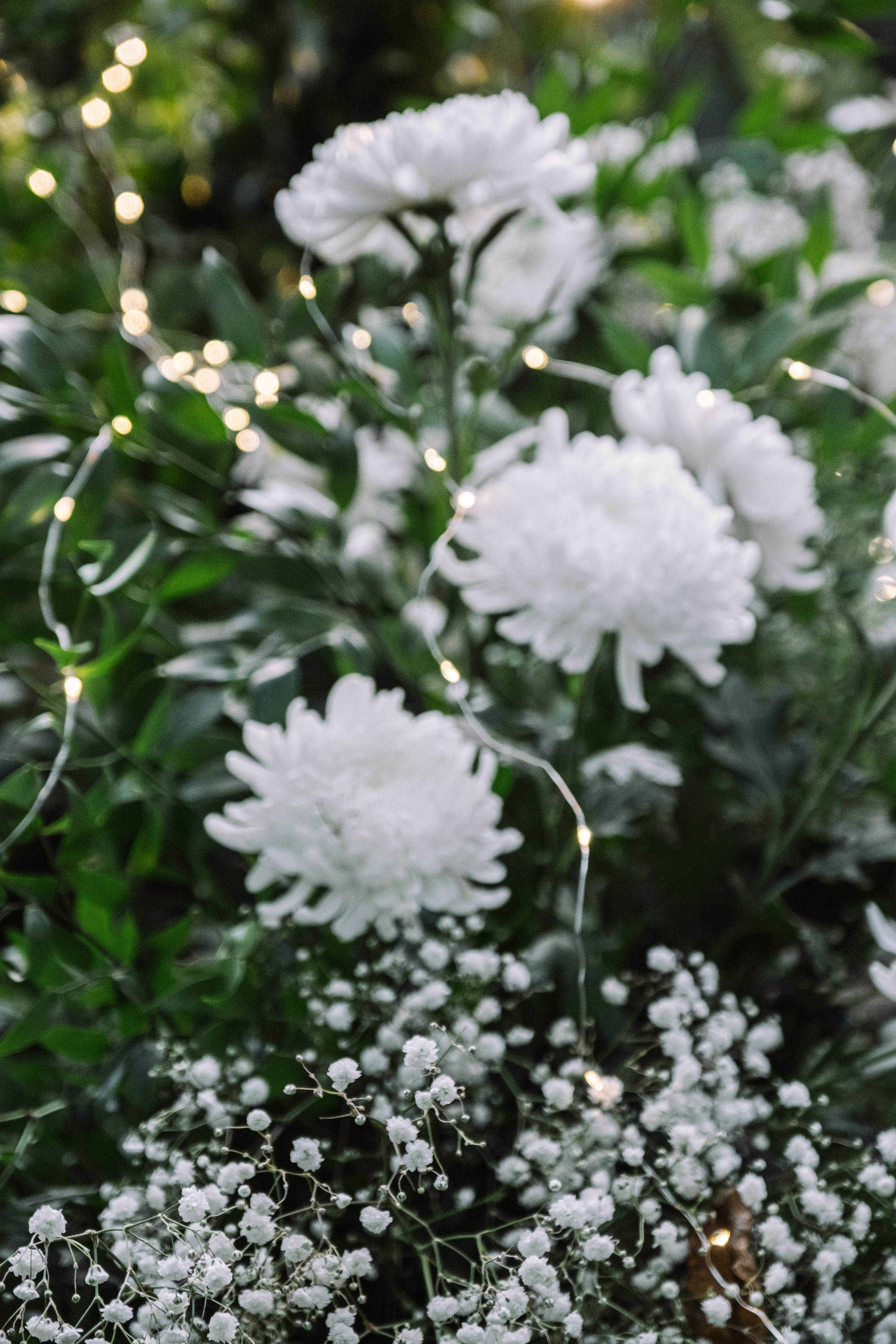 Кот и Дракон. Свадебный Видеограф Фотограф в Сочи