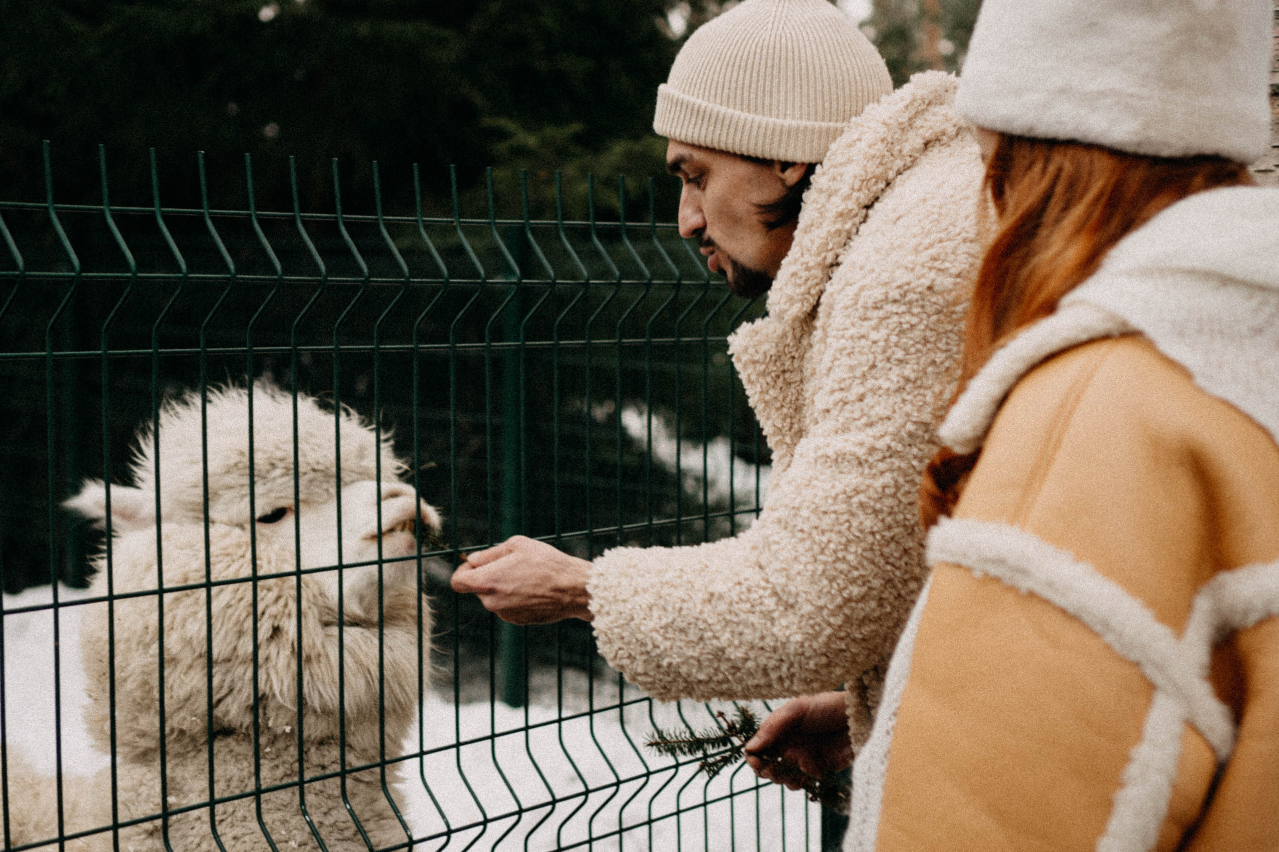 Каток. Профессиональный фотограф, Санкт-Петербург — Виктория Богомолова