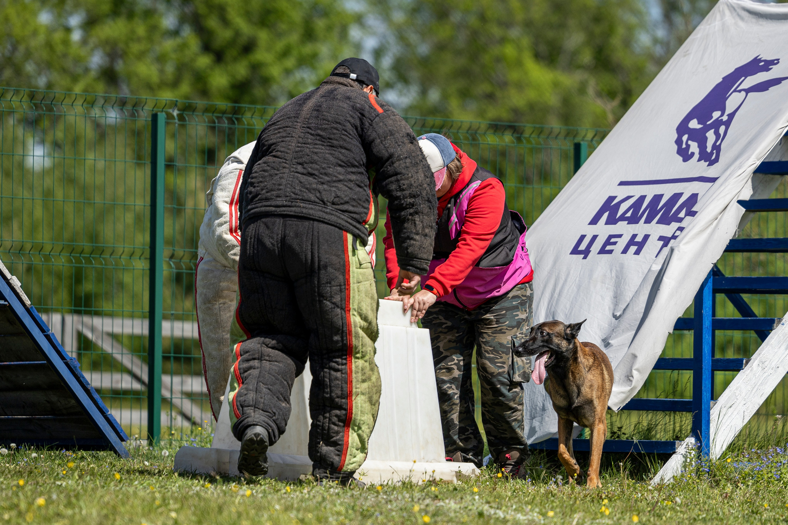 Испытания по мондьорингу в Нижнем Новгороде. Фотограф-анималист Анна Маринич