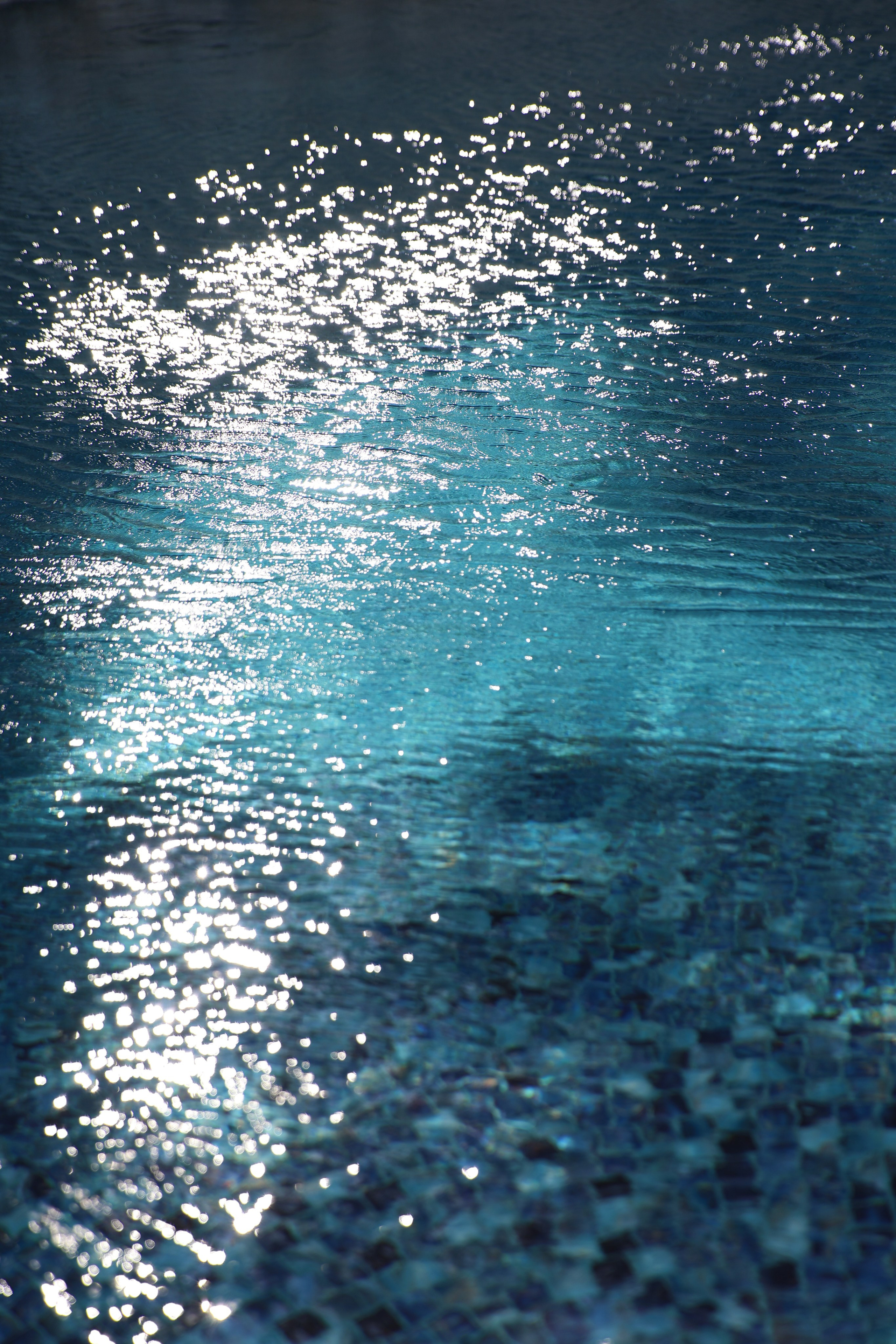 Олег и Юлия. Свадебный и семейный фотограф в Севастополе и Крыму Анастасия Сураева