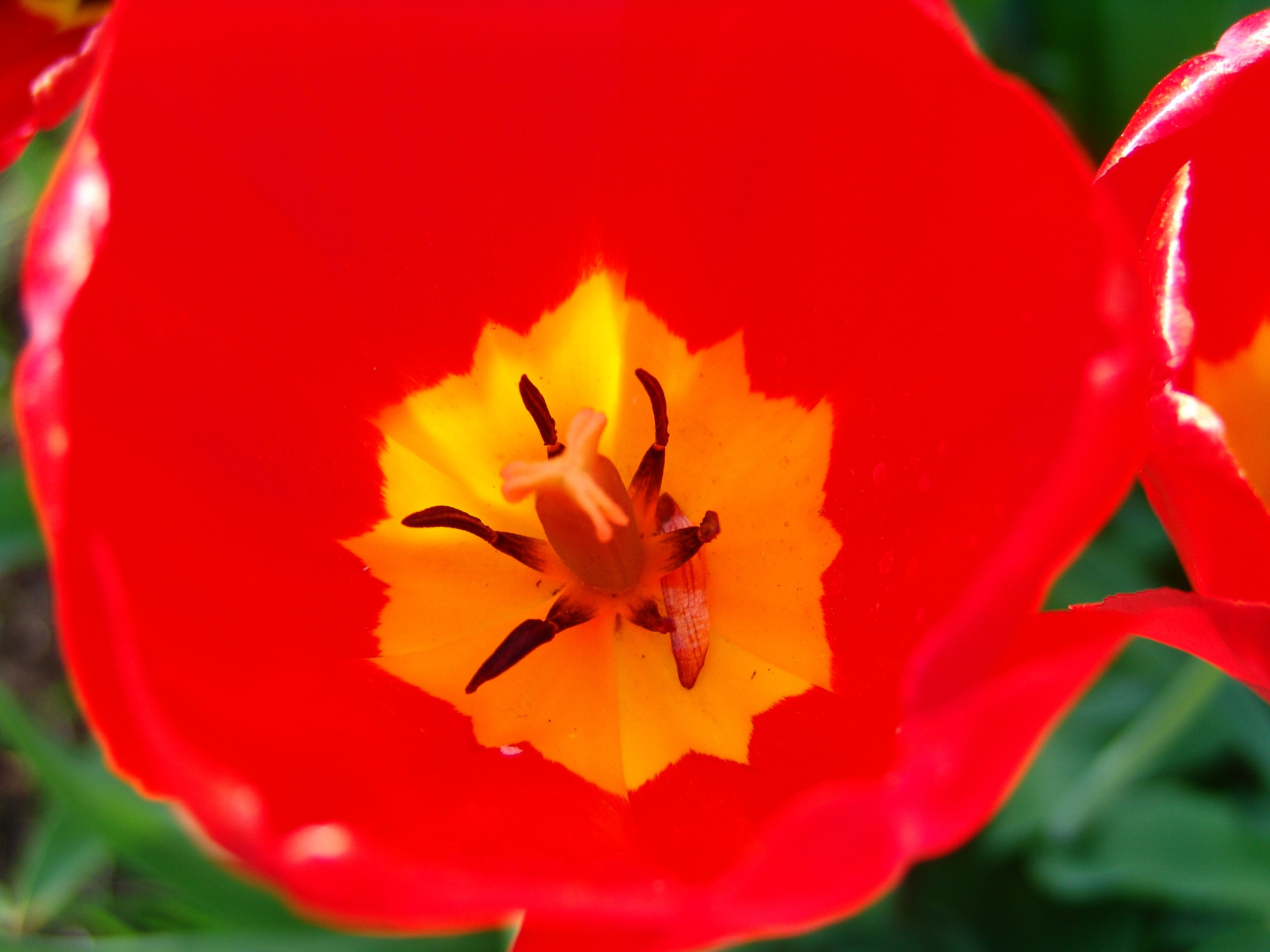 Приезд КС 2005. Заставка