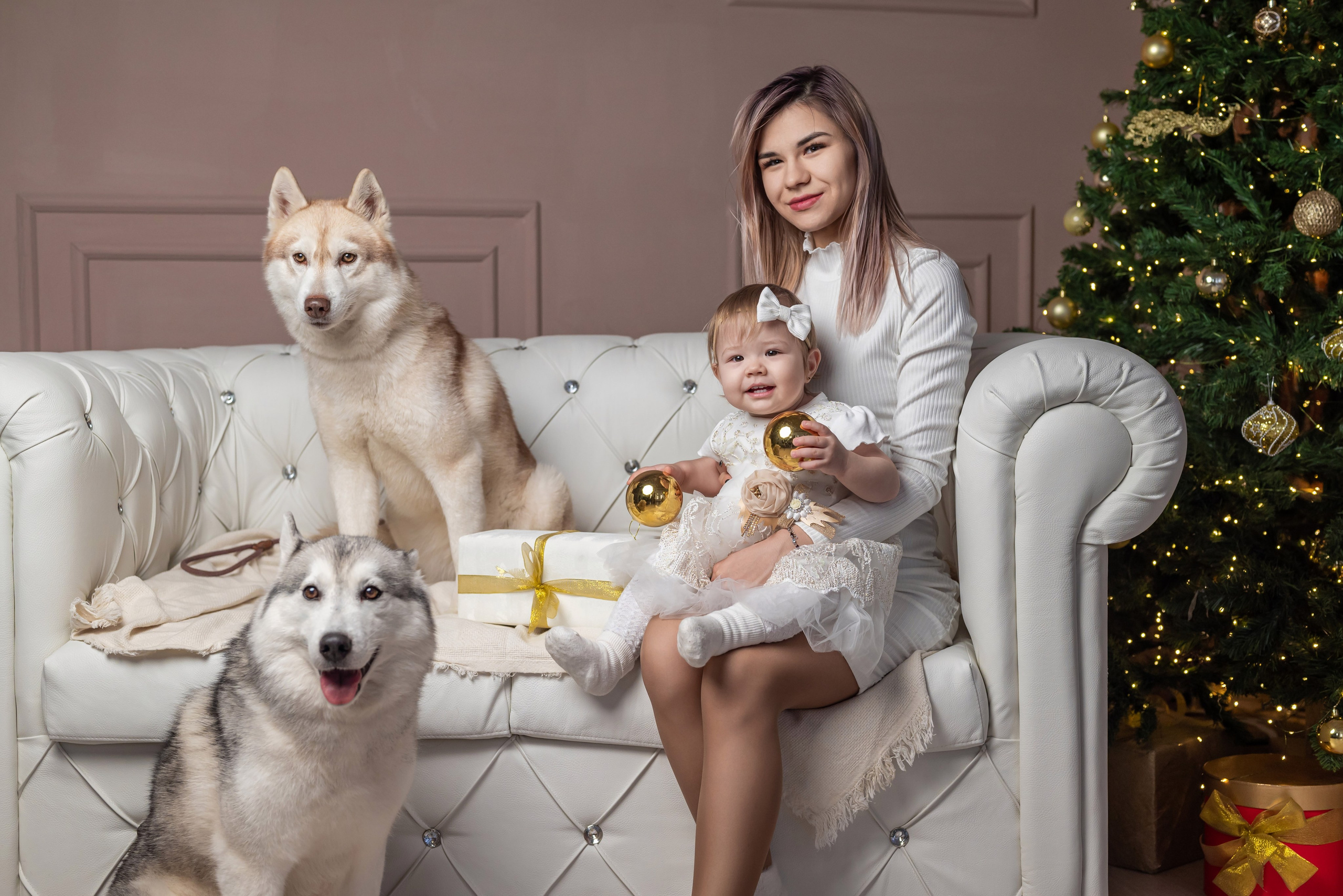 Фотопроект с хаски. Фотограф в городе Салават