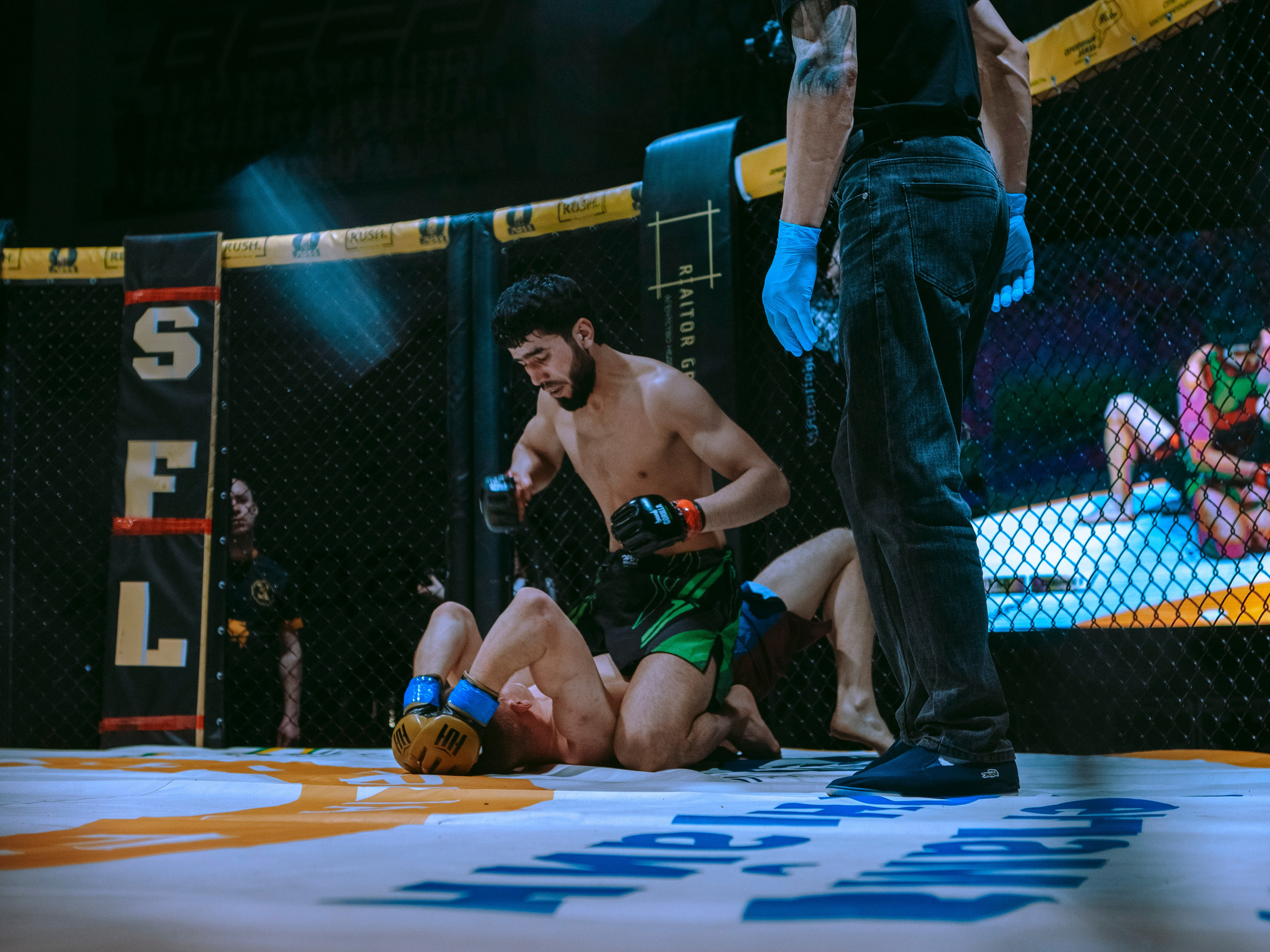 SFL 17 | Siberian Fighting League. Портретный фотограф в Москве Дарья Цезария