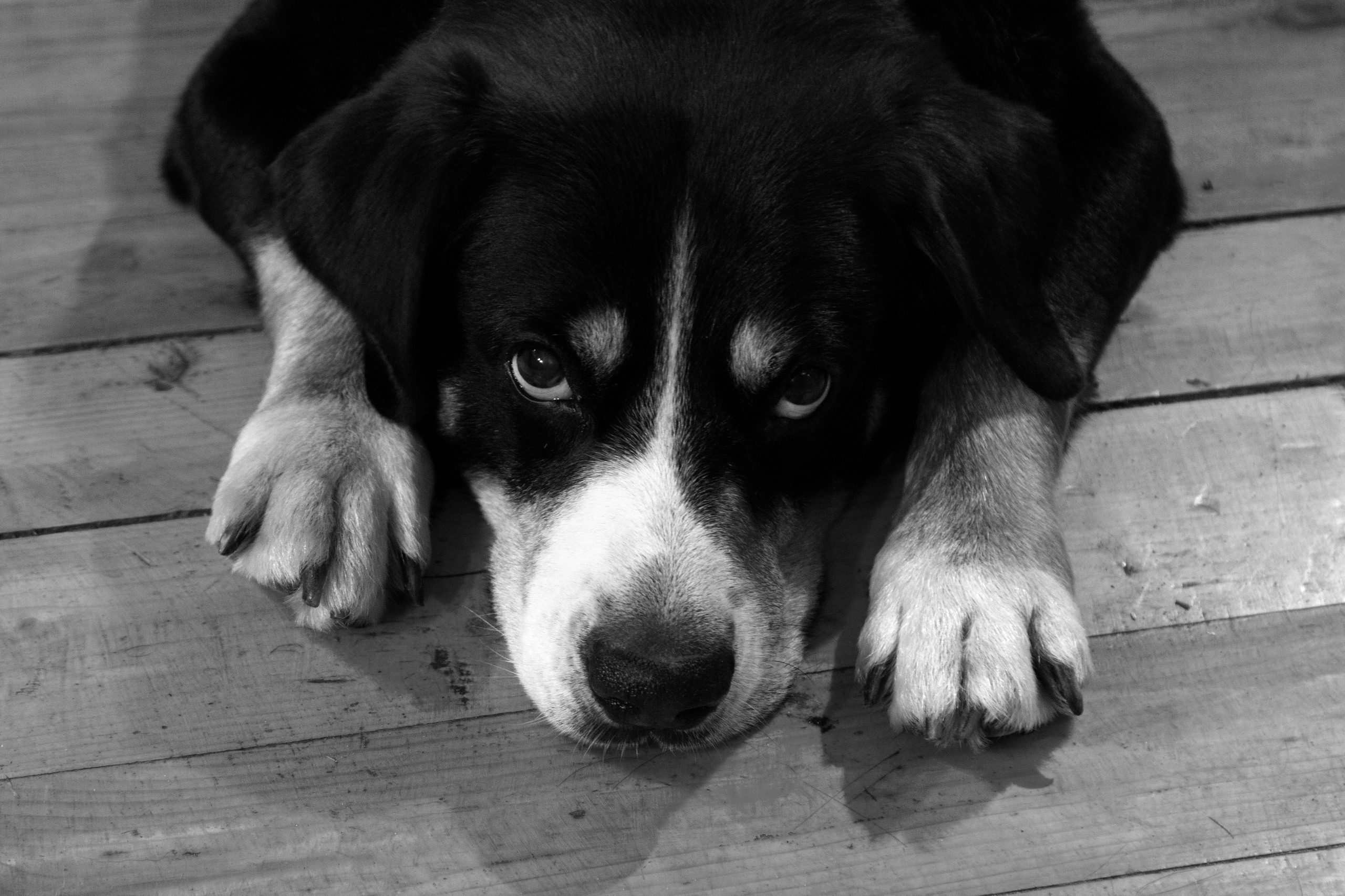 Жанровый портрет. Фотограф Лагутин Анатолий