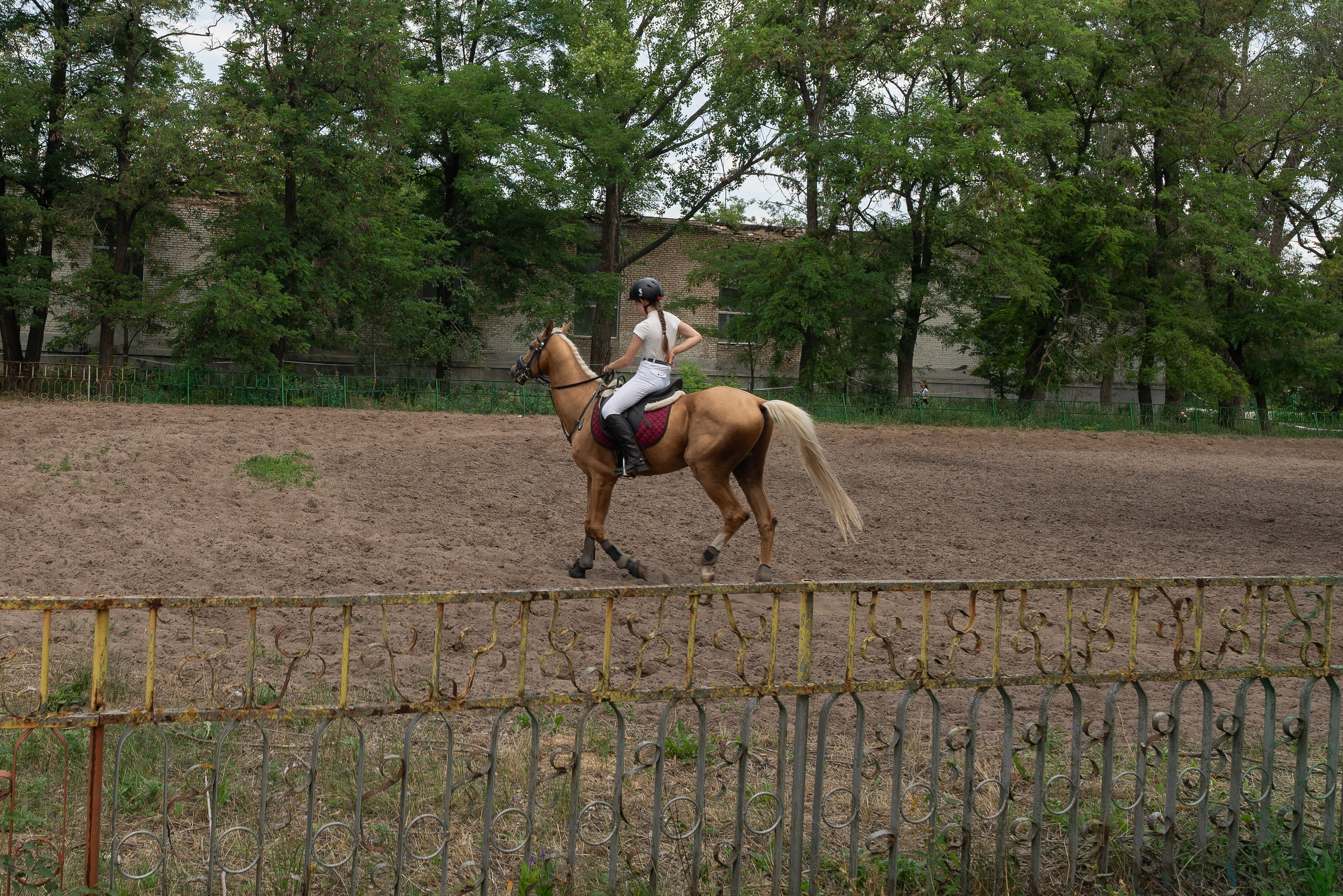 Соревнования по конкуру, Луганск. Фотограф в РФ и ЛНР Юлия Федосеева
