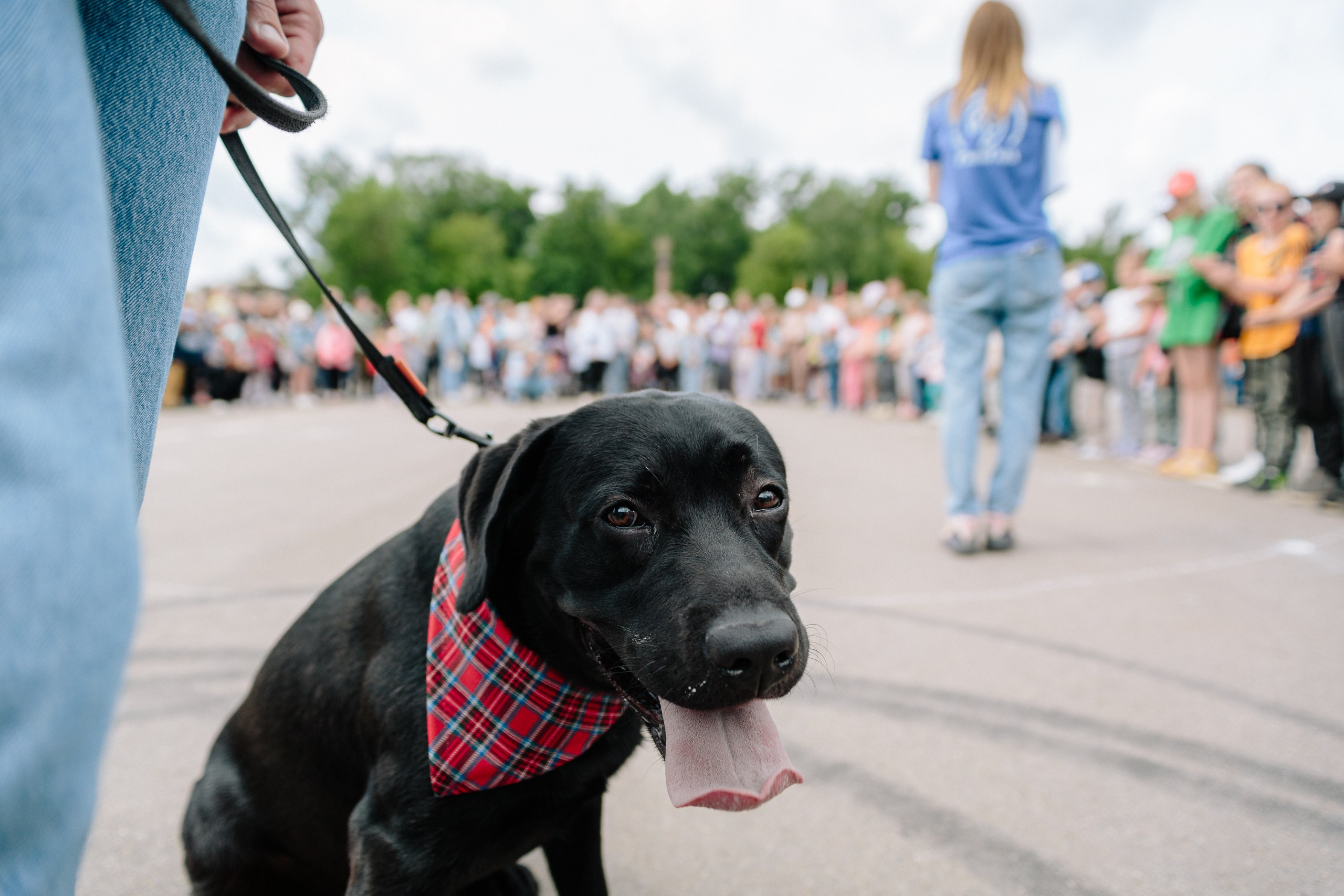 Что такое репортажная съемка?. Вадим Сергеевич | ФОТОГРАF и все такое
