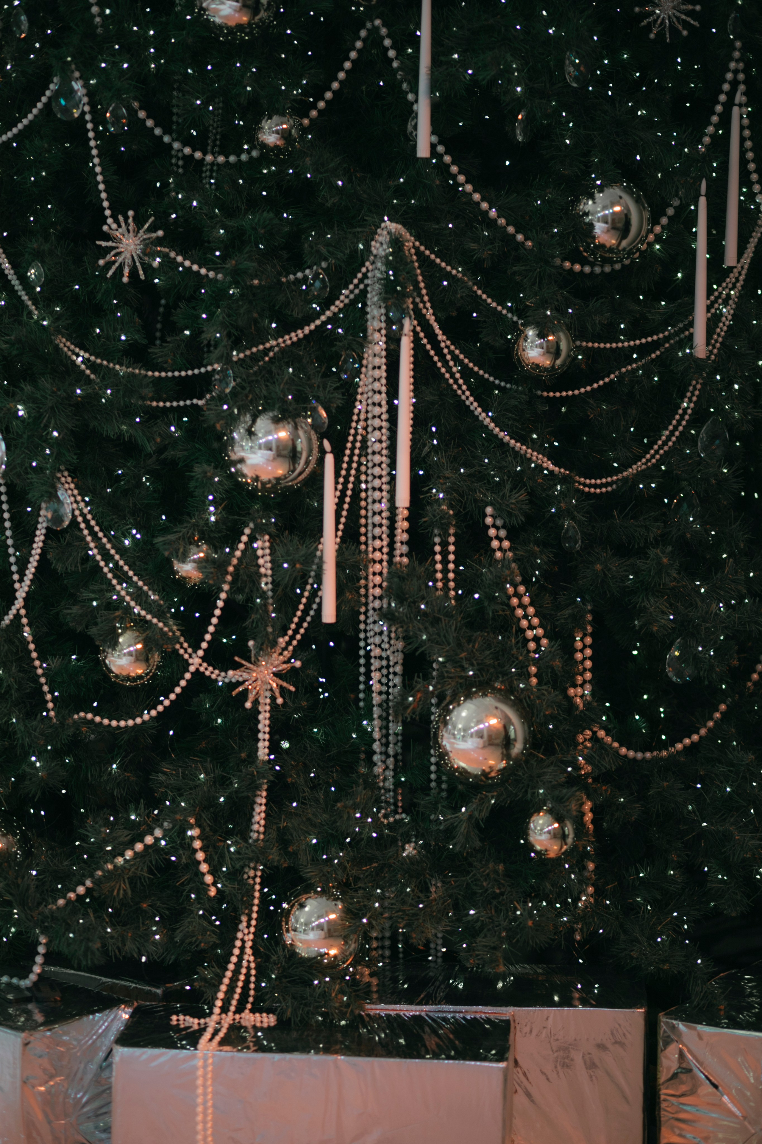 Ball. Фотограф Астафьева Мария