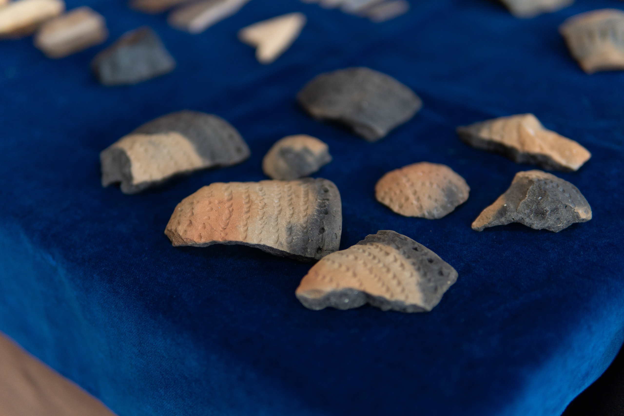 День открытых дверей — 2024. Медиа-портфолио Марии Абрашиной