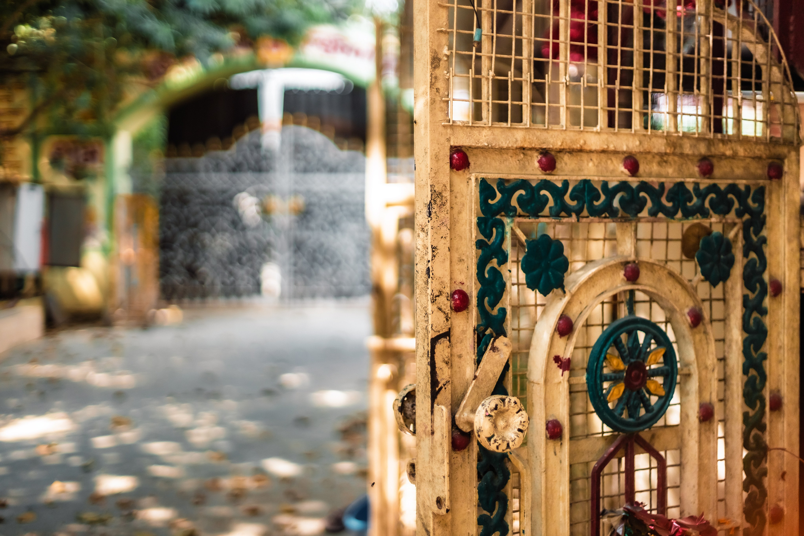 Devraha baba ji ashram life 2025. Mariam Bagdasaryan