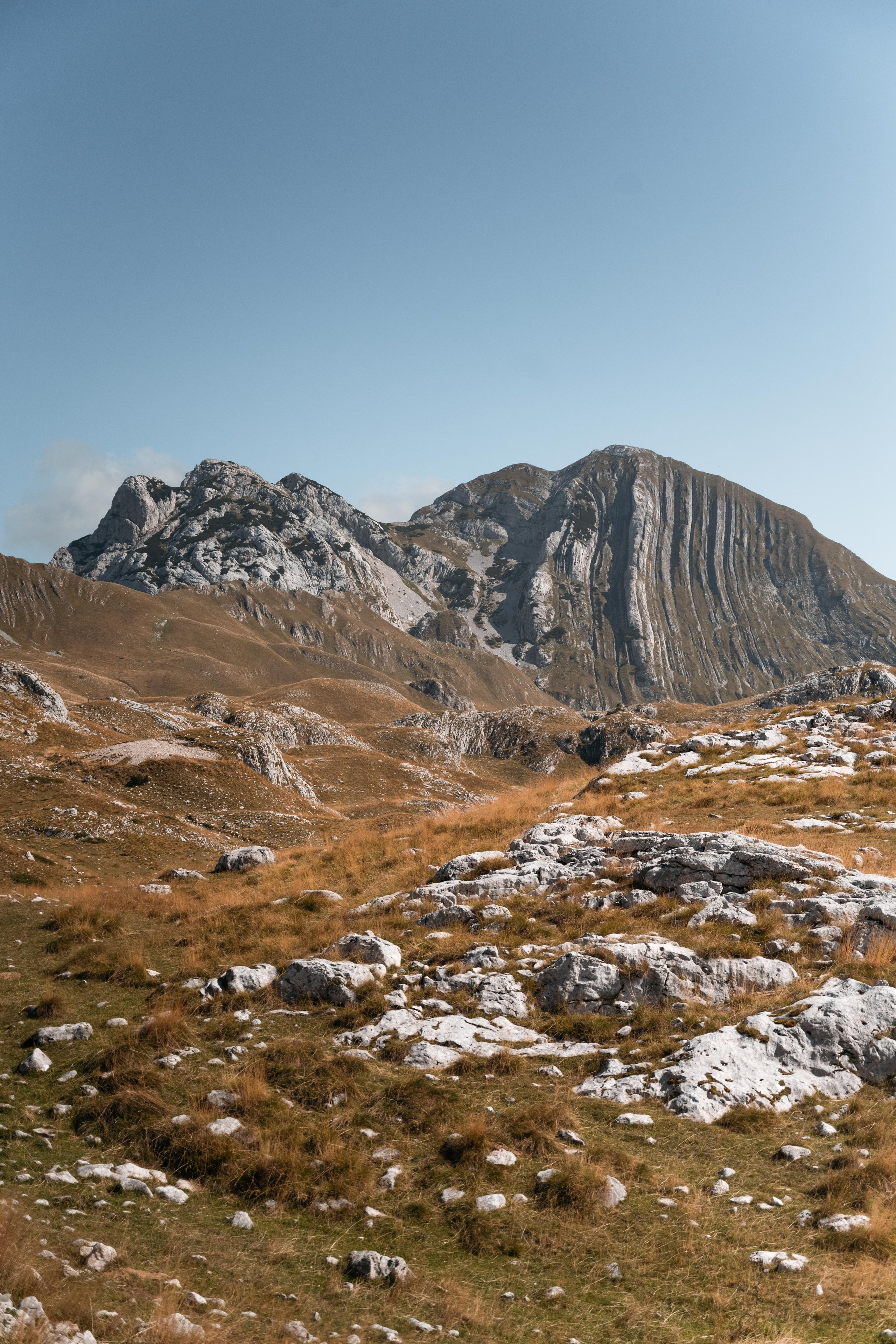 ПРУТАЖ. ЧЕРНОГОРИЯ. Фотограф в Белграде Чугреева Елена