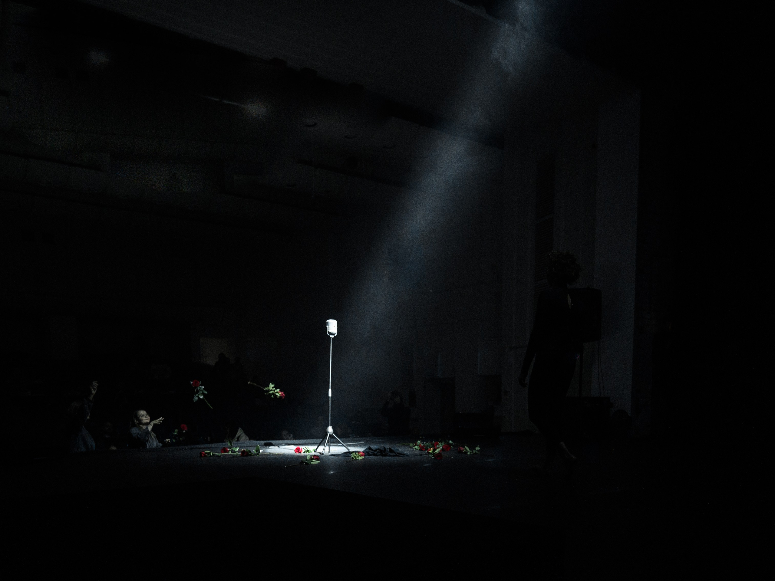 СФЕРА (соревнования по воздушной гимнастике). Фотограф в Самаре