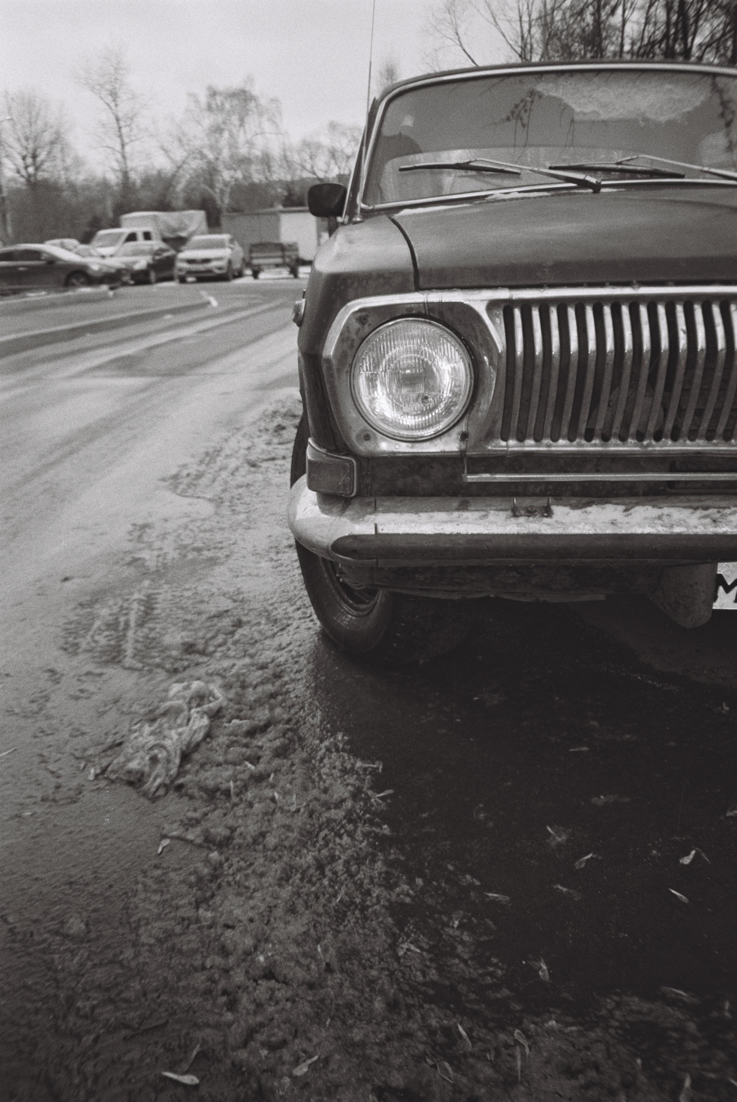 Улица. Портретный фотограф. Москва