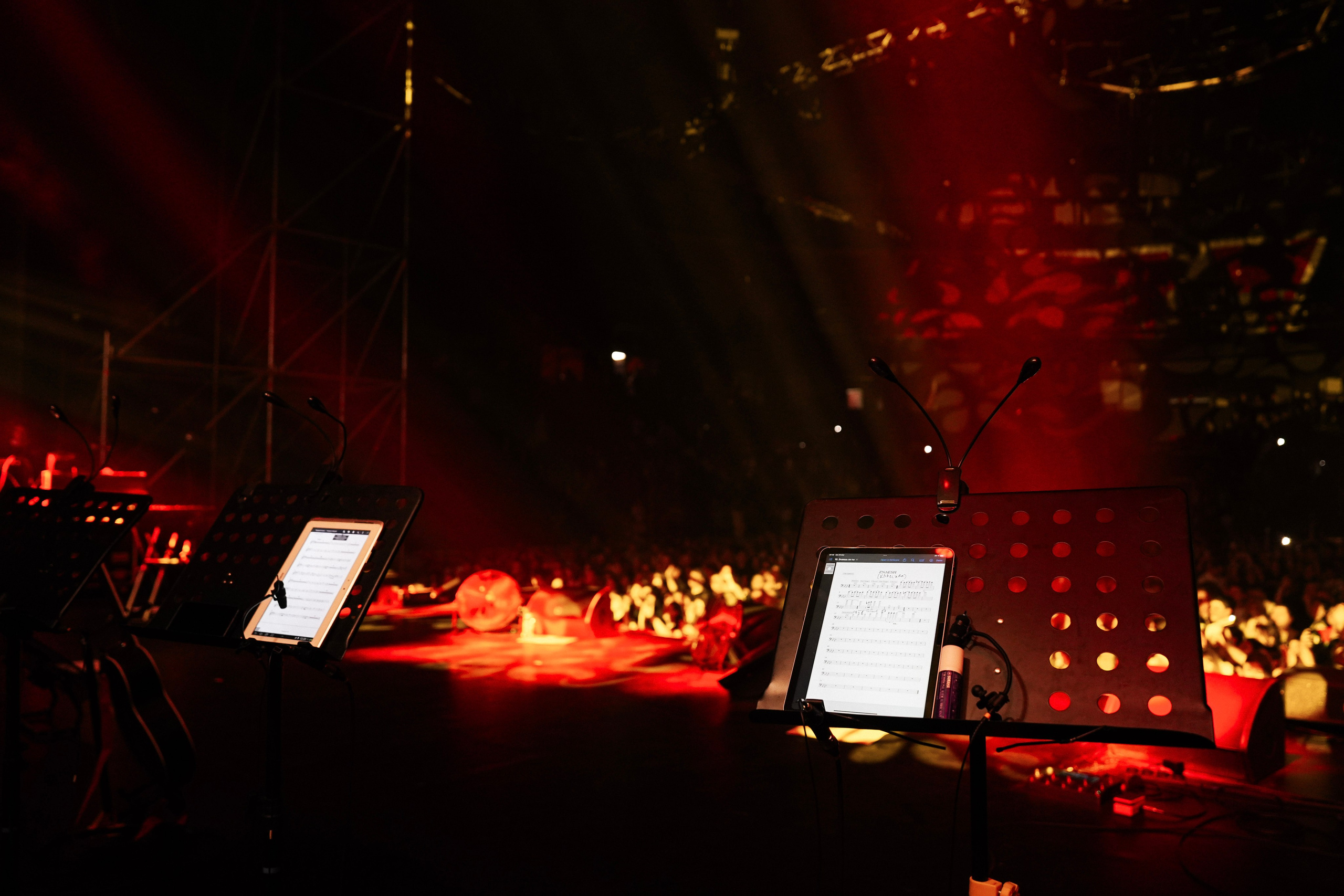 Концерт группы МакSим. Фотограф с психологическим образованием