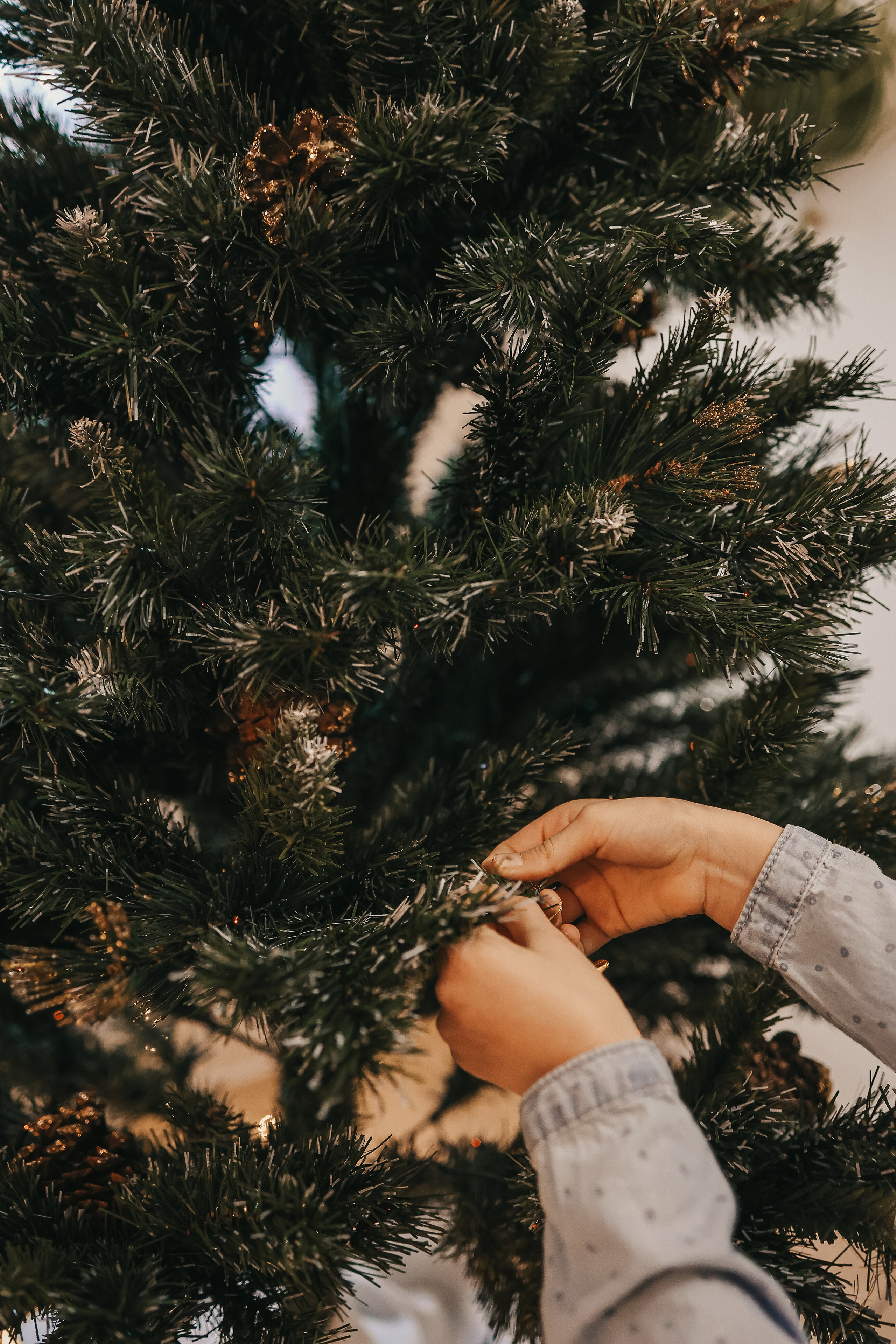 Новый год дома. Фотограф Алена Малинина в Санкт-Петербурге Пушкин Питер СПб Семейные и детские фотосессии