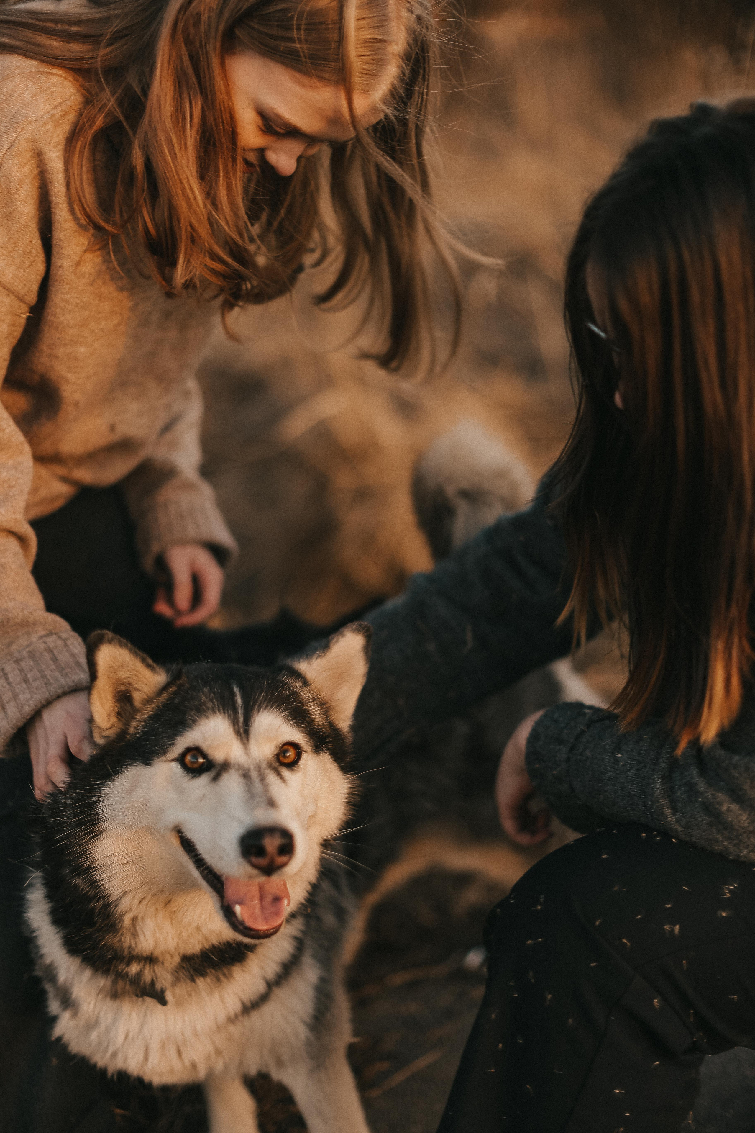 SPRING. ВЕСНА. Фотограф Алена Малинина в Санкт-Петербурге Пушкин Питер СПб Семейные и детские фотосессии